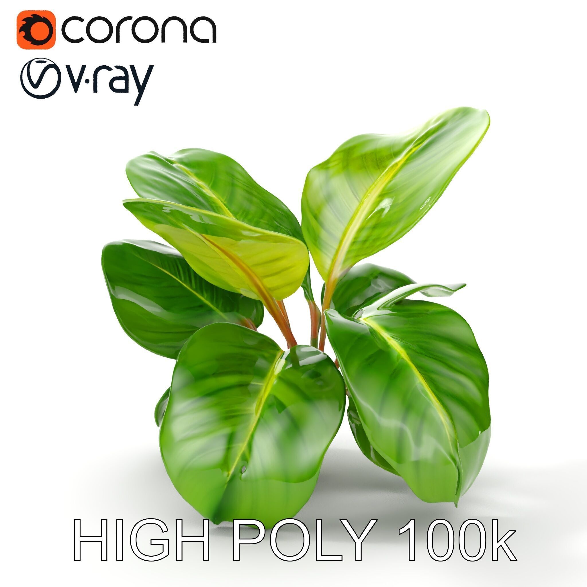 Tropical Plant Model Pack for Environment Design Low-poly 3D model_30