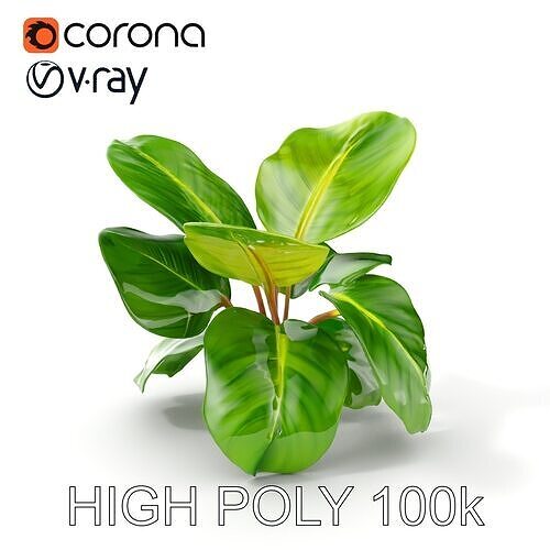 Tropical Plant Model Pack for Environment Design Low-poly 3D model