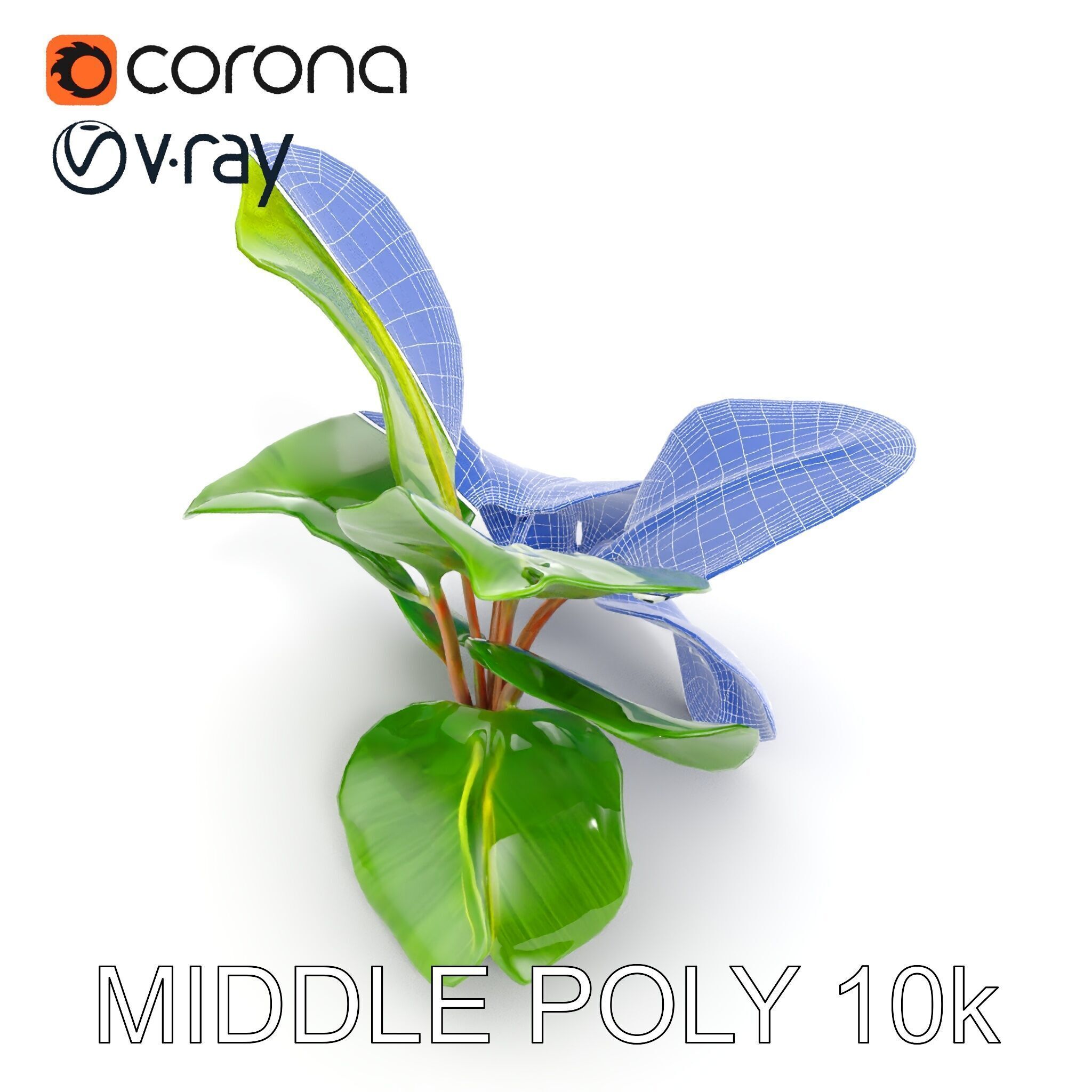 Tropical Plant Model Pack for Environment Design Low-poly 3D model_12