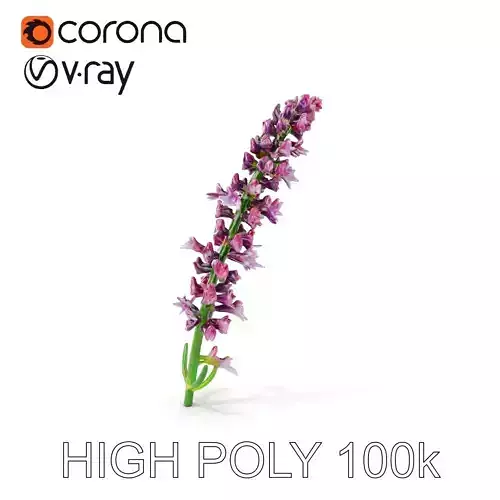 Lavender Model Pack for Versatile Realistic Scenes