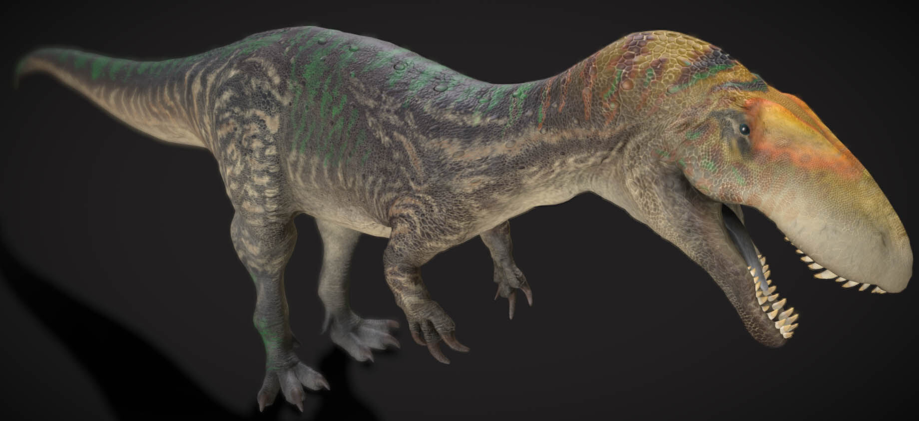 Eustreptospondylus The Well-Curved Vertebrae Hunter Low-poly 3D model_5