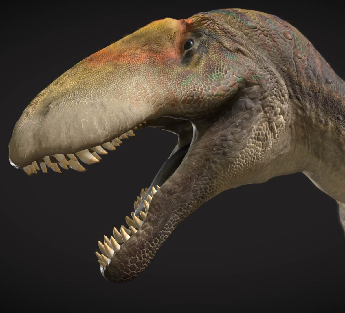 Eustreptospondylus The Well-Curved Vertebrae Hunter Low-poly 3D model_4