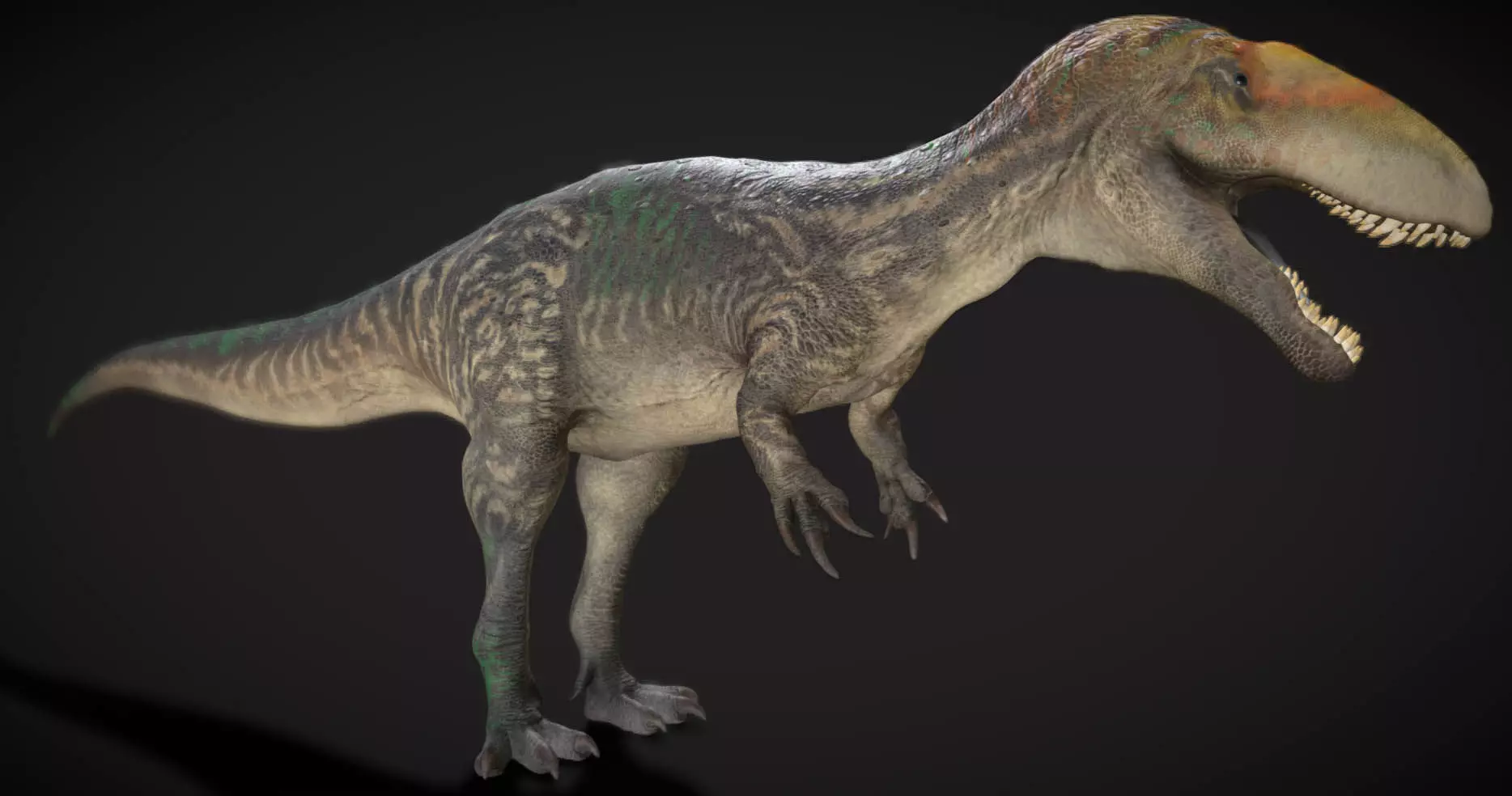 Eustreptospondylus The Well-Curved Vertebrae Hunter Low-poly 3D model_0