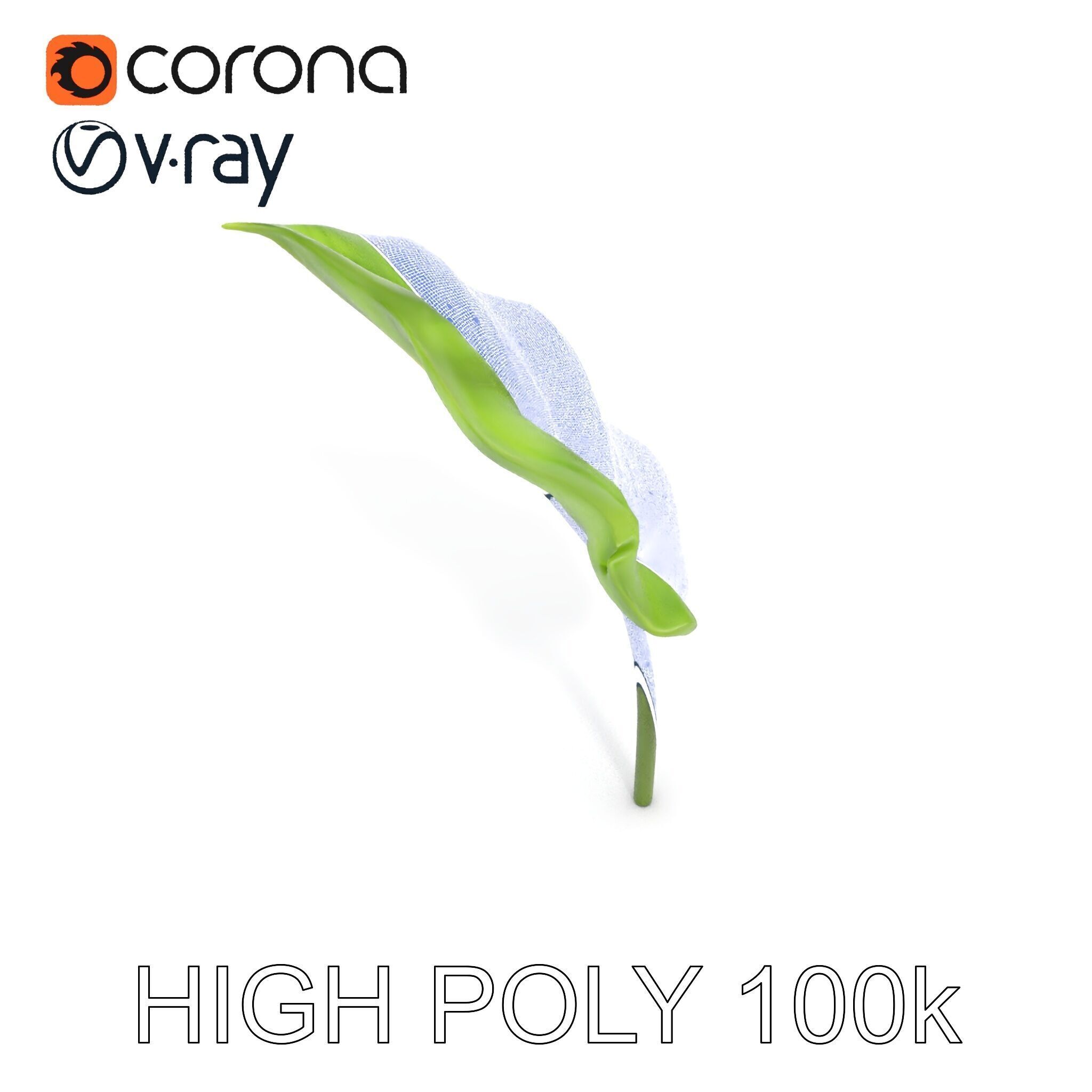 Botanical Leaf Model Pack with Realistic Textures Low-poly 3D model_23