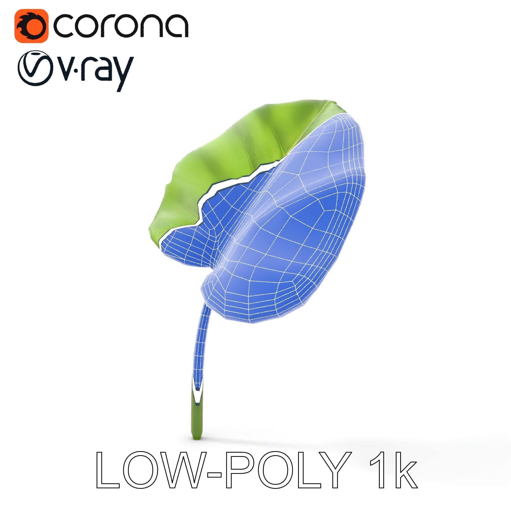 Botanical Leaf Model Pack with Realistic Textures Low-poly 3D model_31