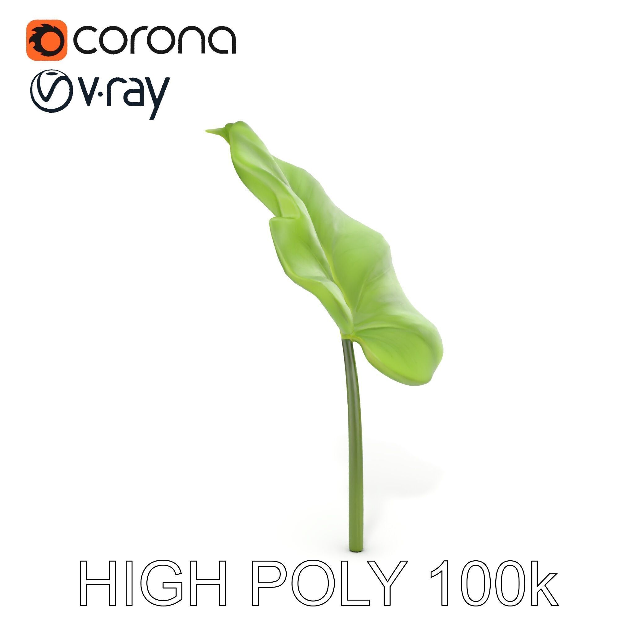 Botanical Leaf Model Pack with Realistic Textures Low-poly 3D model_9