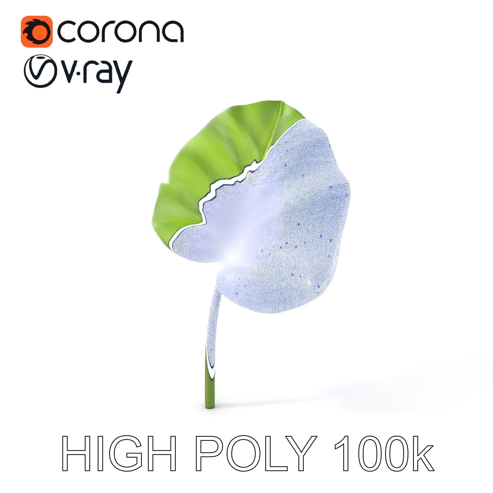 Botanical Leaf Model Pack with Realistic Textures Low-poly 3D model_5