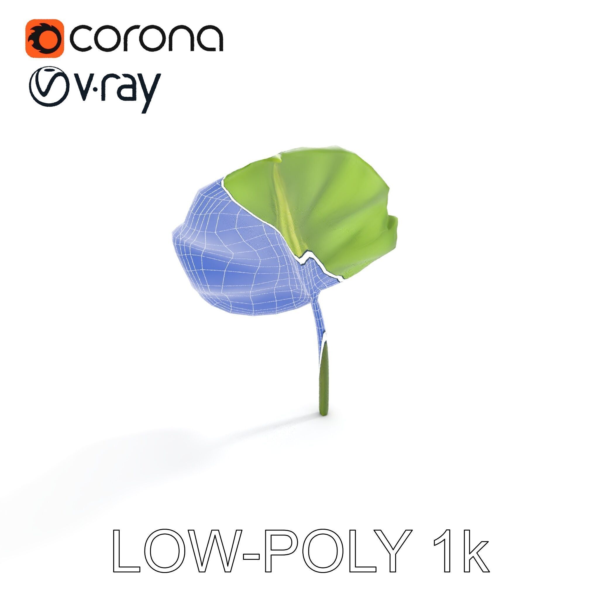 Botanical Leaf Model Pack with Realistic Textures Low-poly 3D model_22