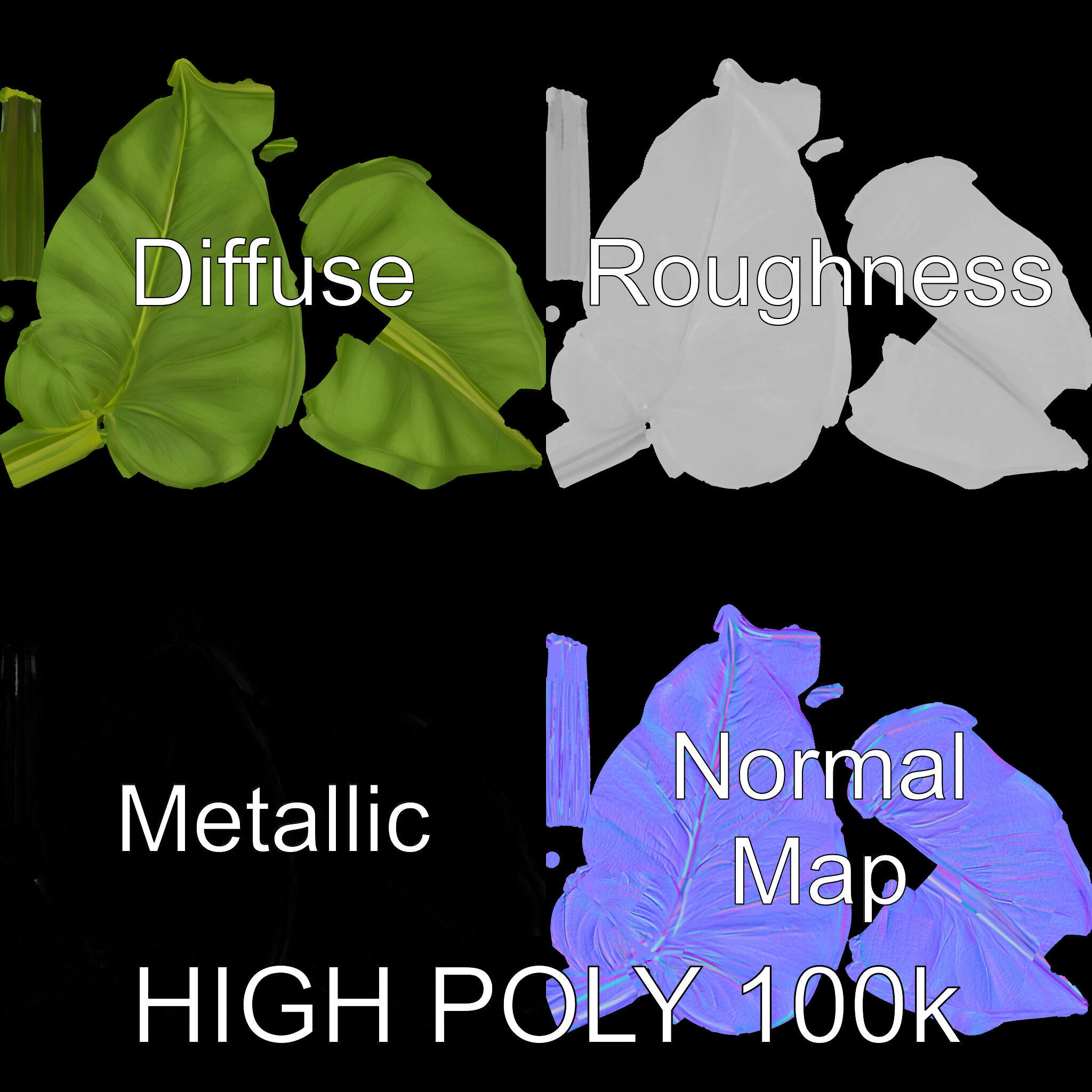 Botanical Leaf Model Pack with Realistic Textures Low-poly 3D model_4