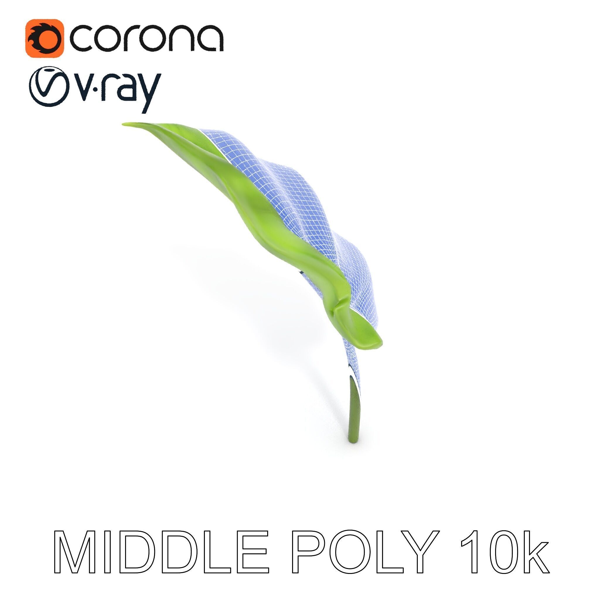 Botanical Leaf Model Pack with Realistic Textures Low-poly 3D model_21
