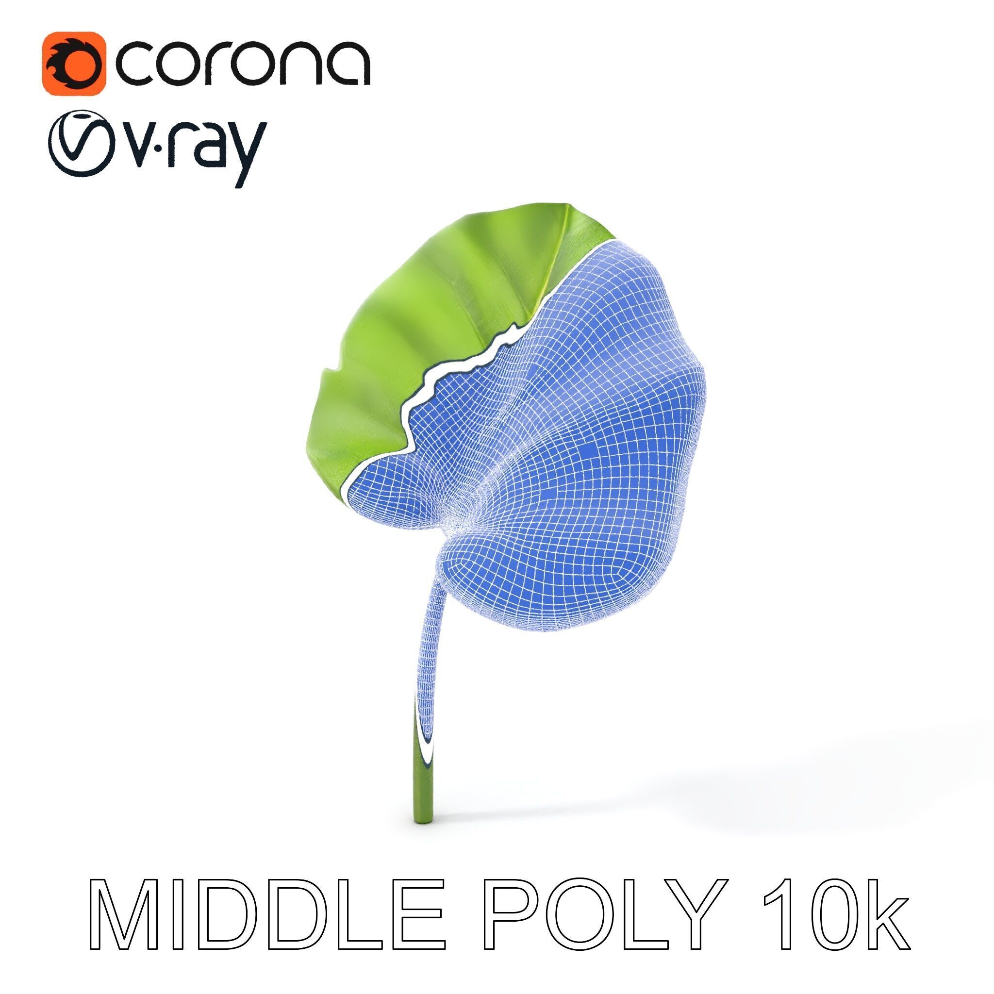 Botanical Leaf Model Pack with Realistic Textures Low-poly 3D model_32