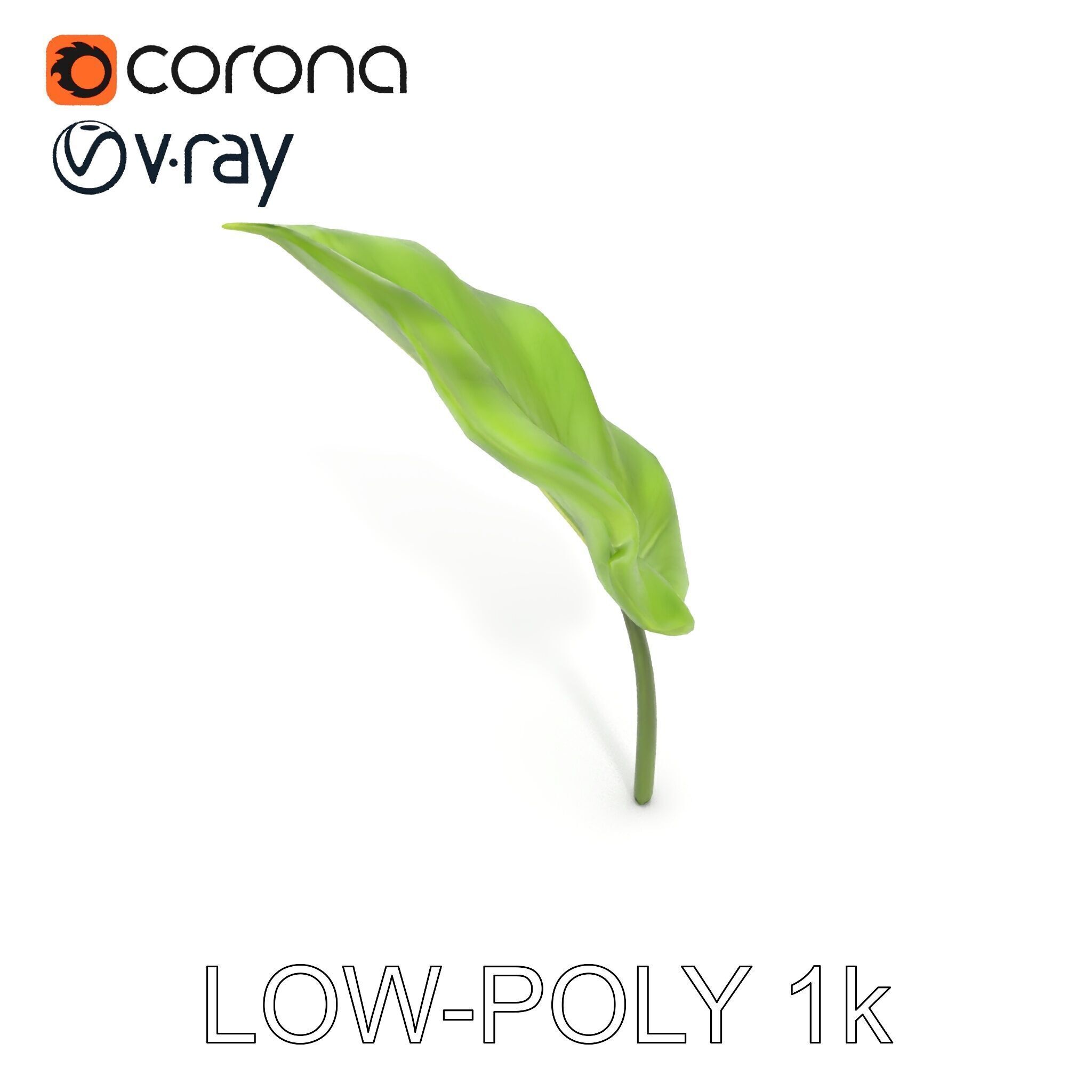 Botanical Leaf Model Pack with Realistic Textures Low-poly 3D model_16