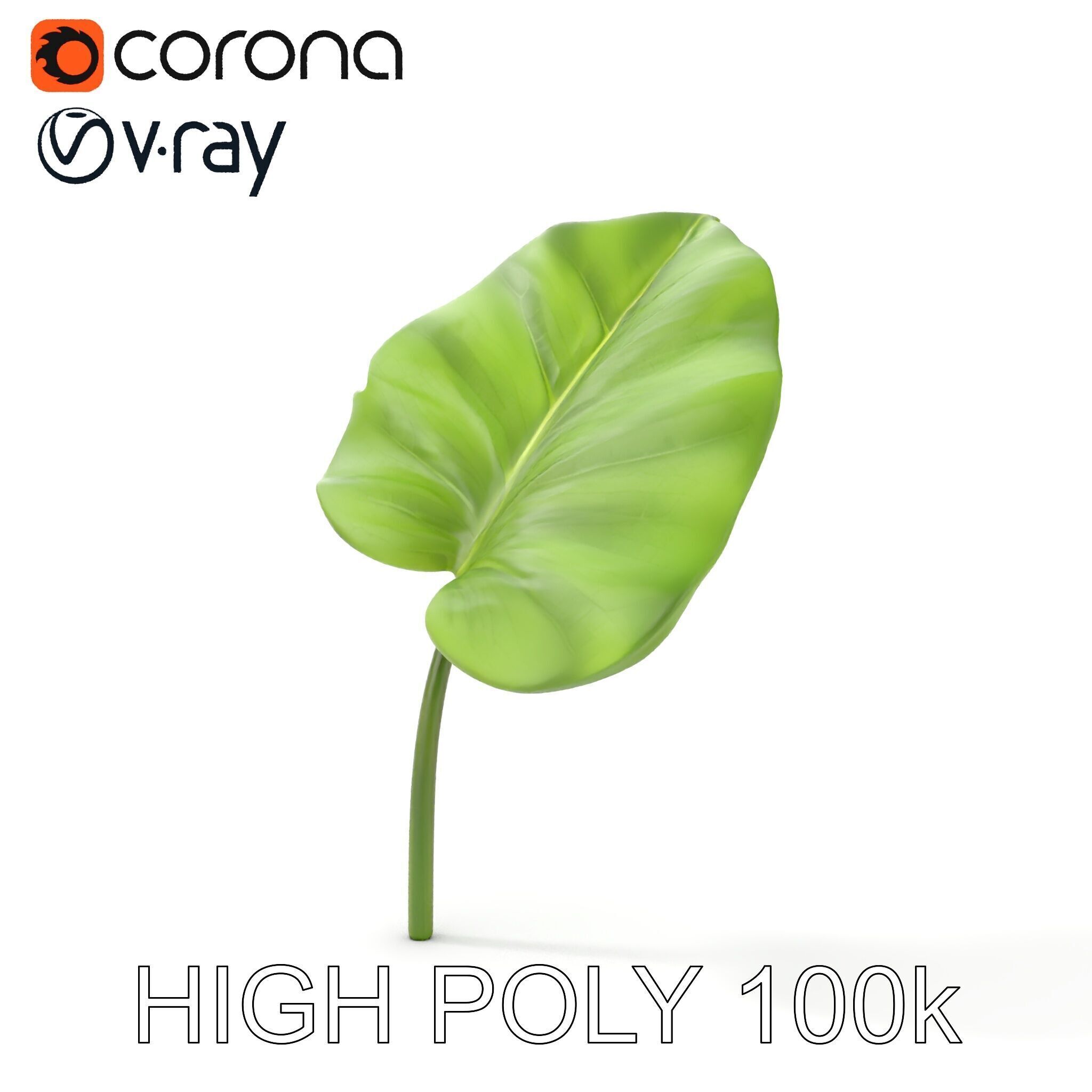 Botanical Leaf Model Pack with Realistic Textures Low-poly 3D model_17