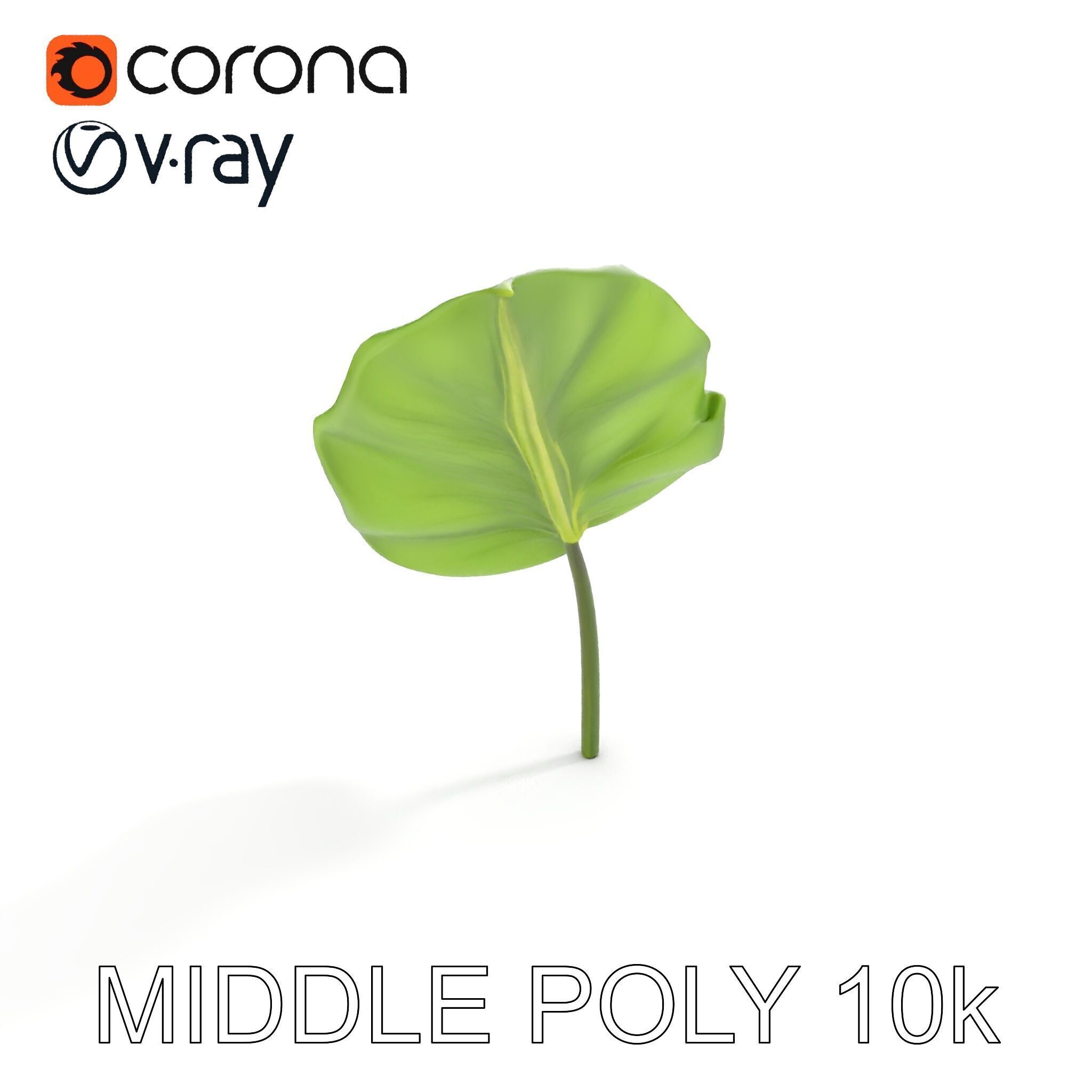 Botanical Leaf Model Pack with Realistic Textures Low-poly 3D model_10