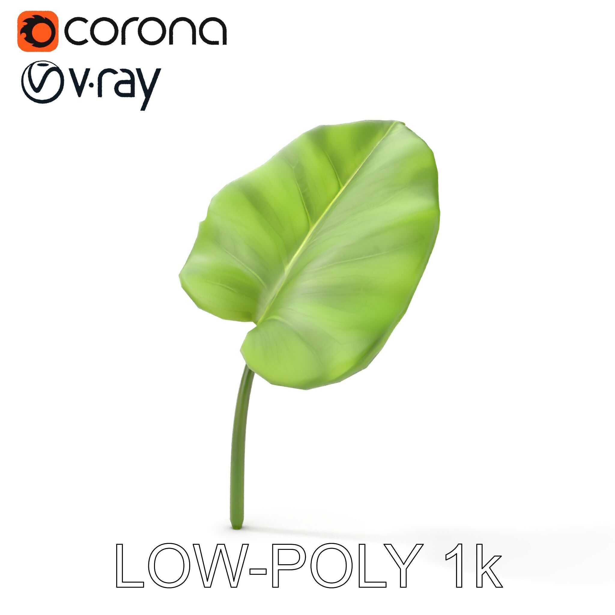 Botanical Leaf Model Pack with Realistic Textures Low-poly 3D model_25