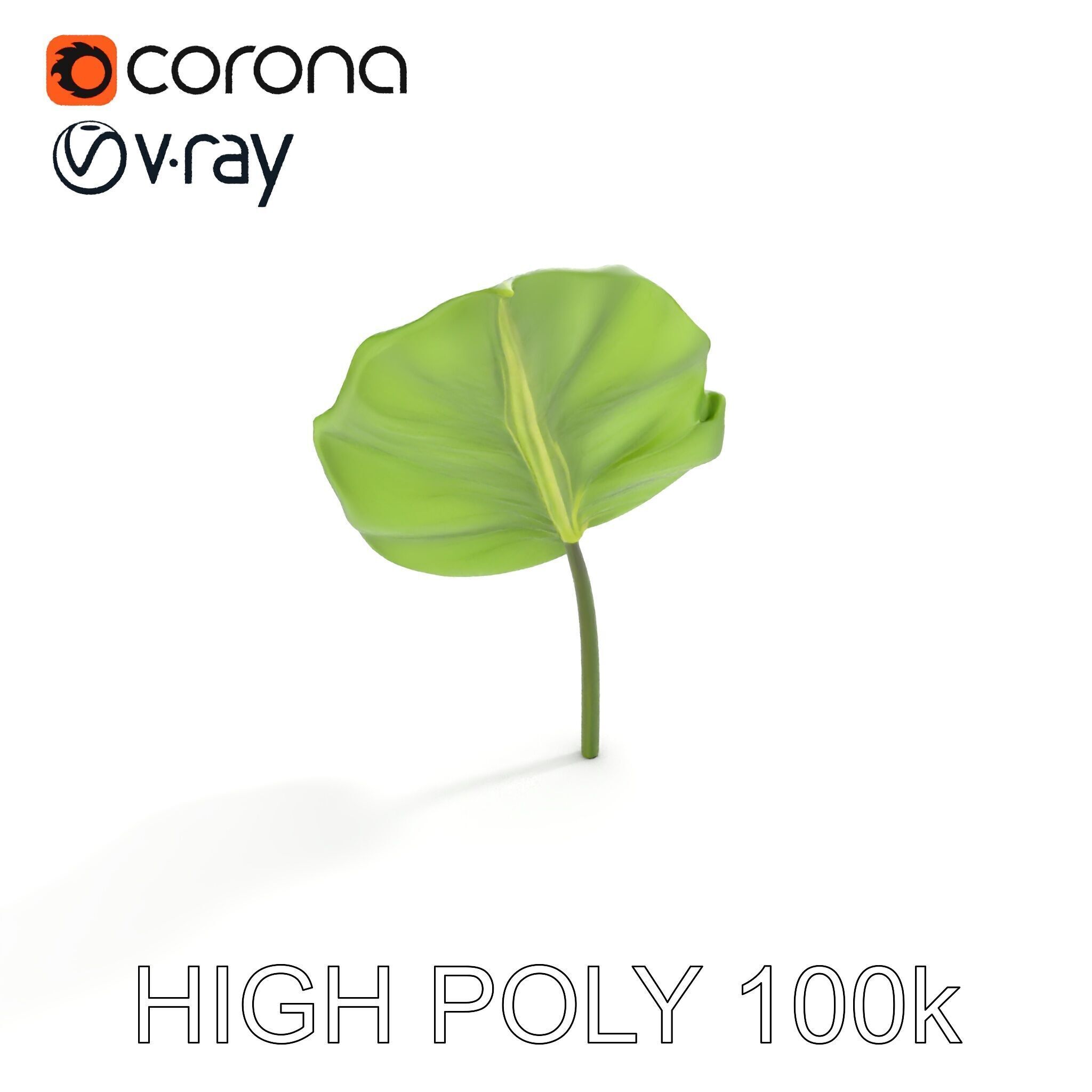 Botanical Leaf Model Pack with Realistic Textures Low-poly 3D model_26