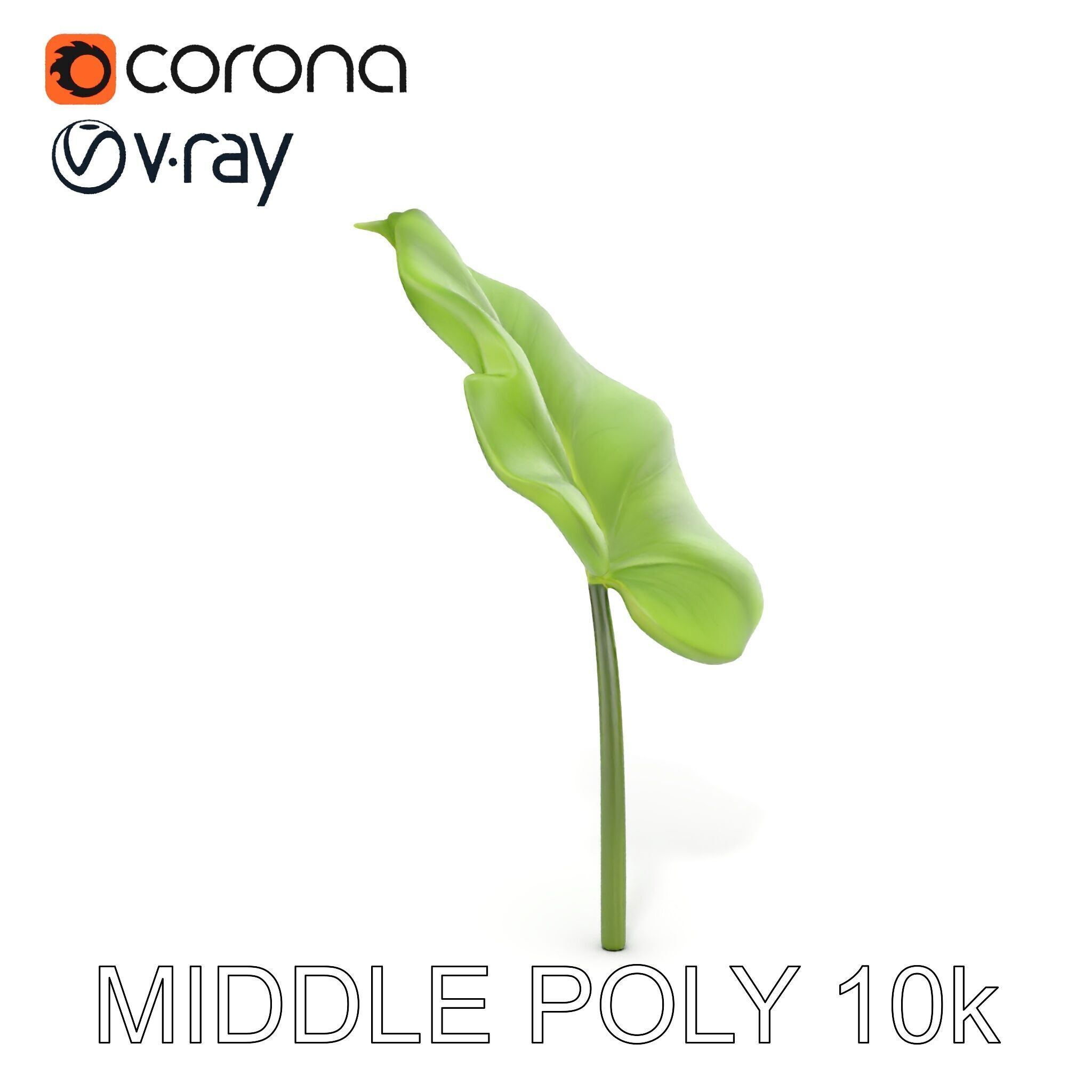 Botanical Leaf Model Pack with Realistic Textures Low-poly 3D model_30
