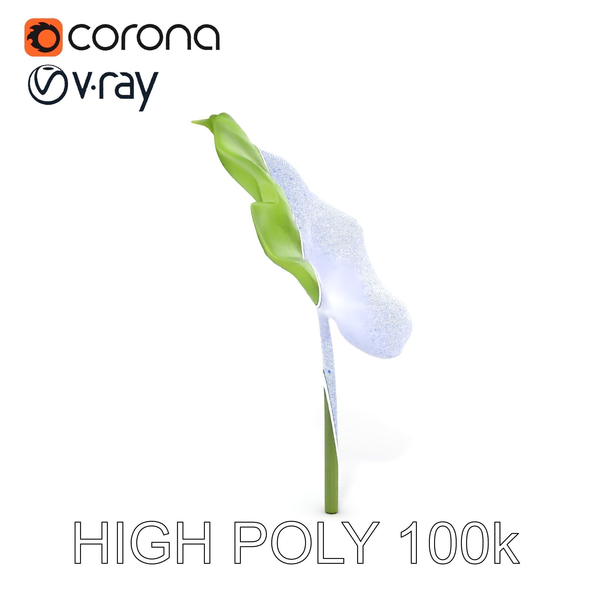 Botanical Leaf Model Pack with Realistic Textures Low-poly 3D model_20