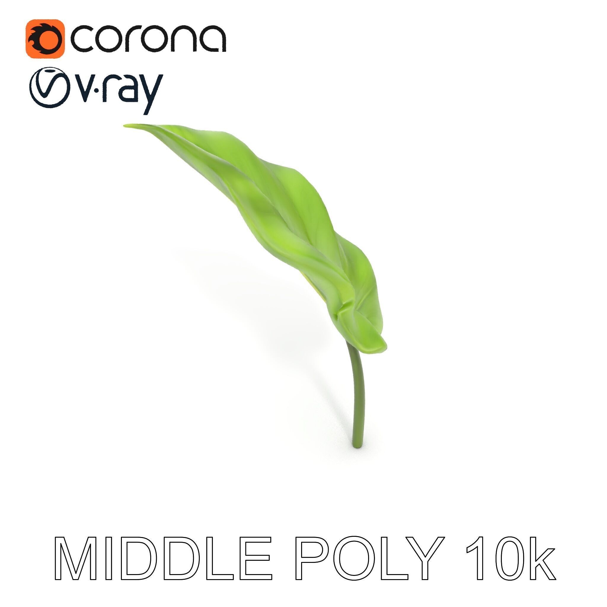 Botanical Leaf Model Pack with Realistic Textures Low-poly 3D model_15