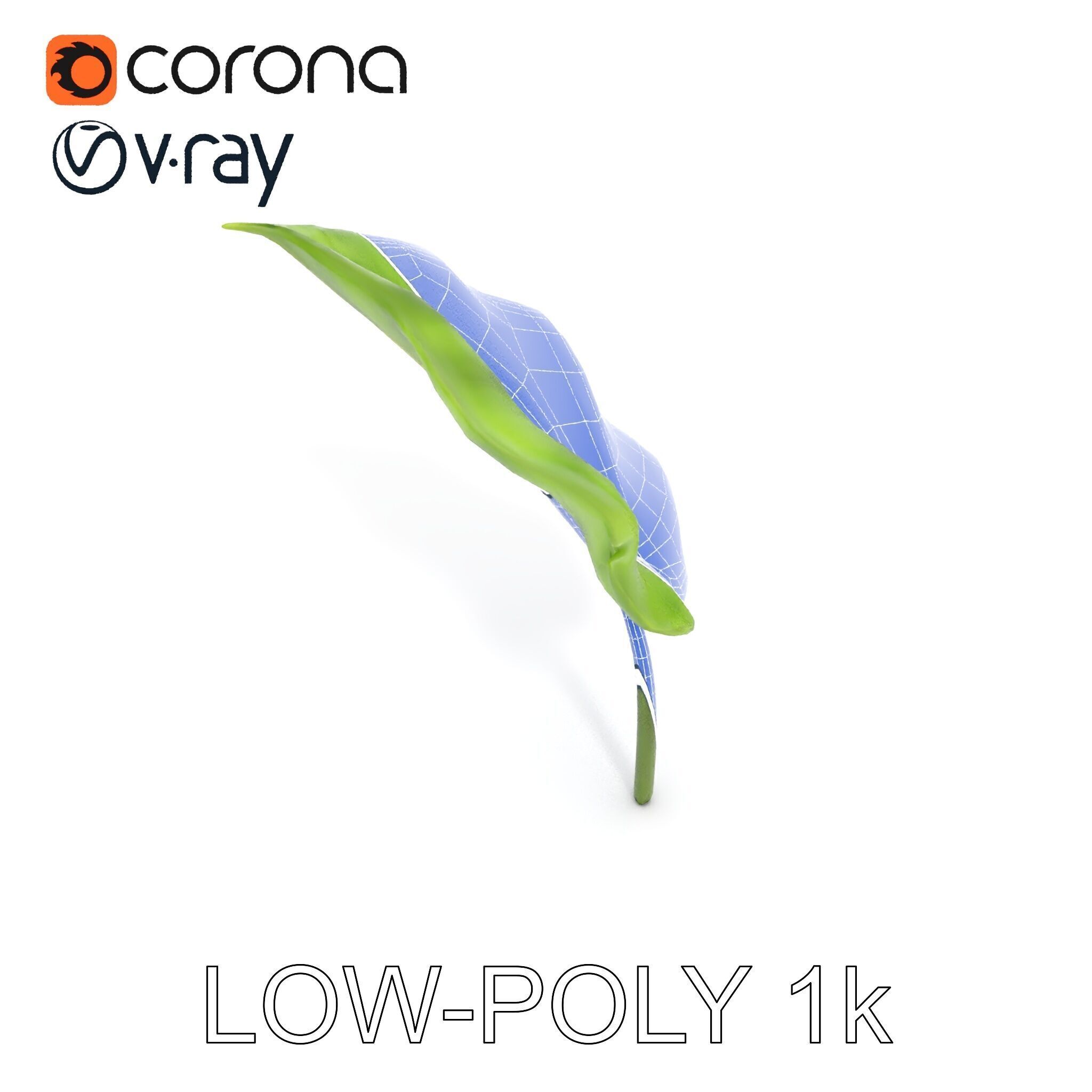 Botanical Leaf Model Pack with Realistic Textures Low-poly 3D model_33
