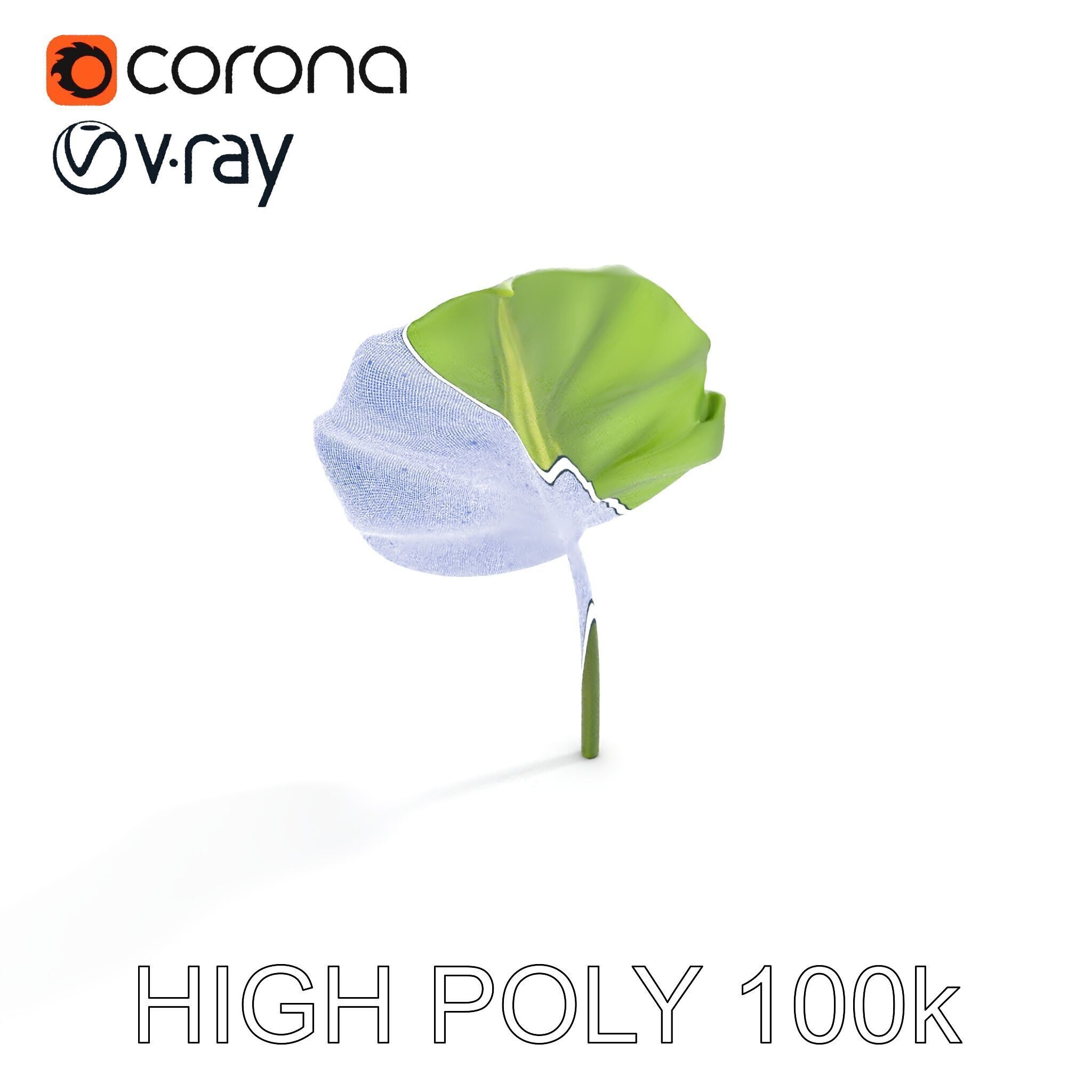 Botanical Leaf Model Pack with Realistic Textures Low-poly 3D model_29