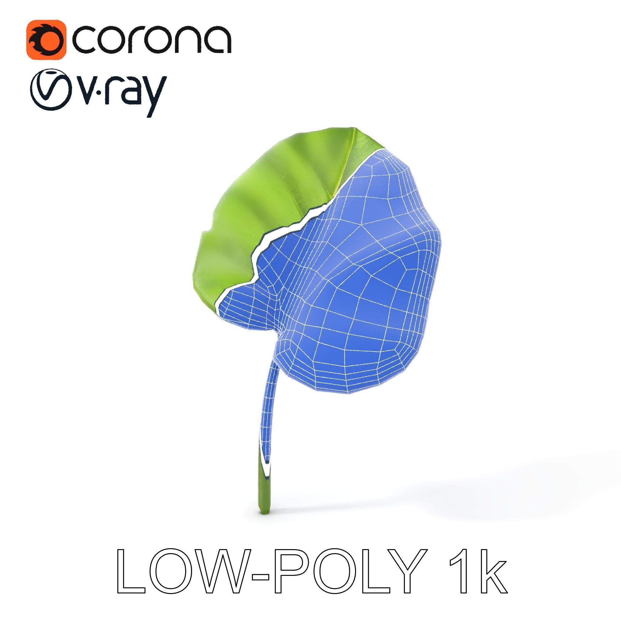 Botanical Leaf Model Pack with Realistic Textures Low-poly 3D model_11