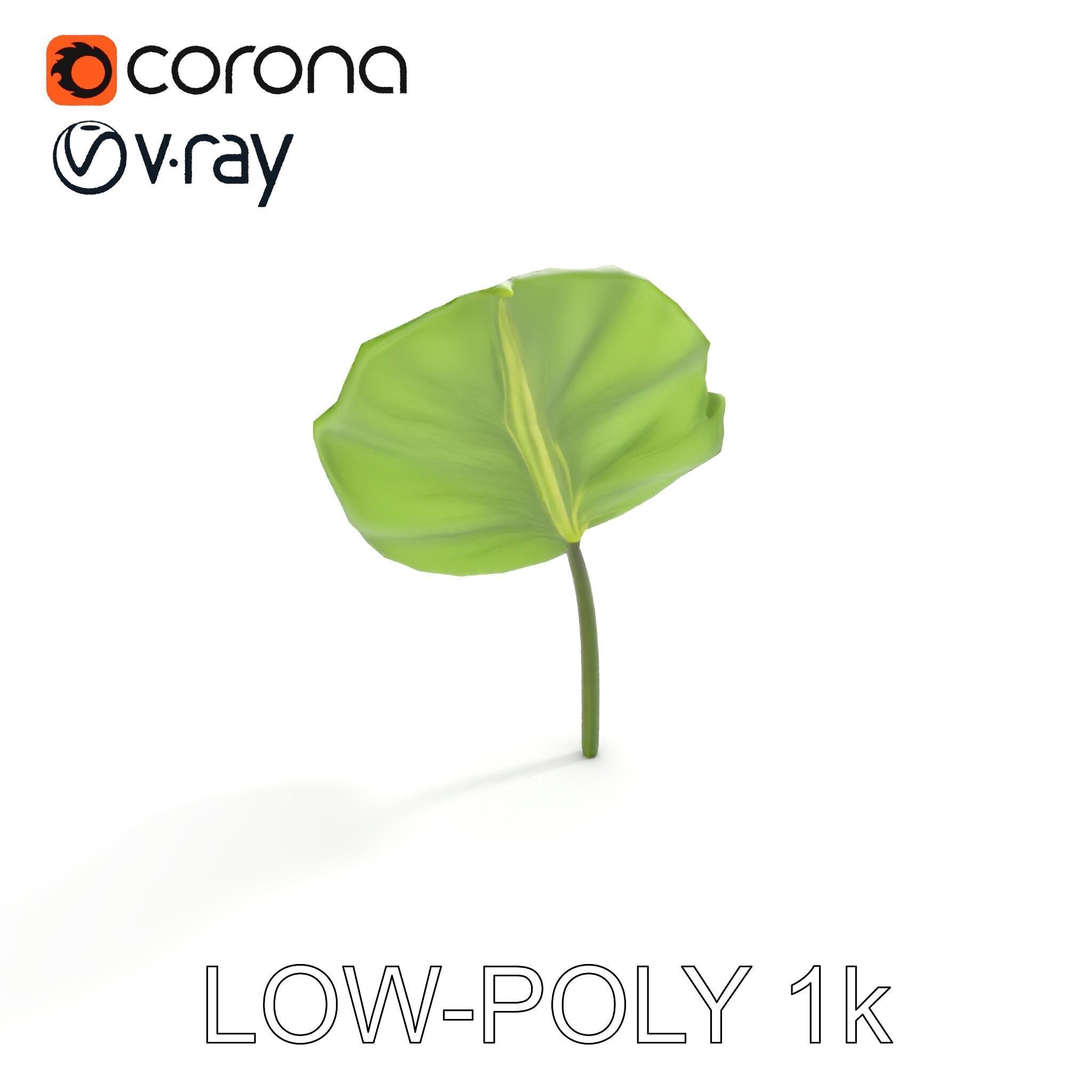 Botanical Leaf Model Pack with Realistic Textures Low-poly 3D model_35