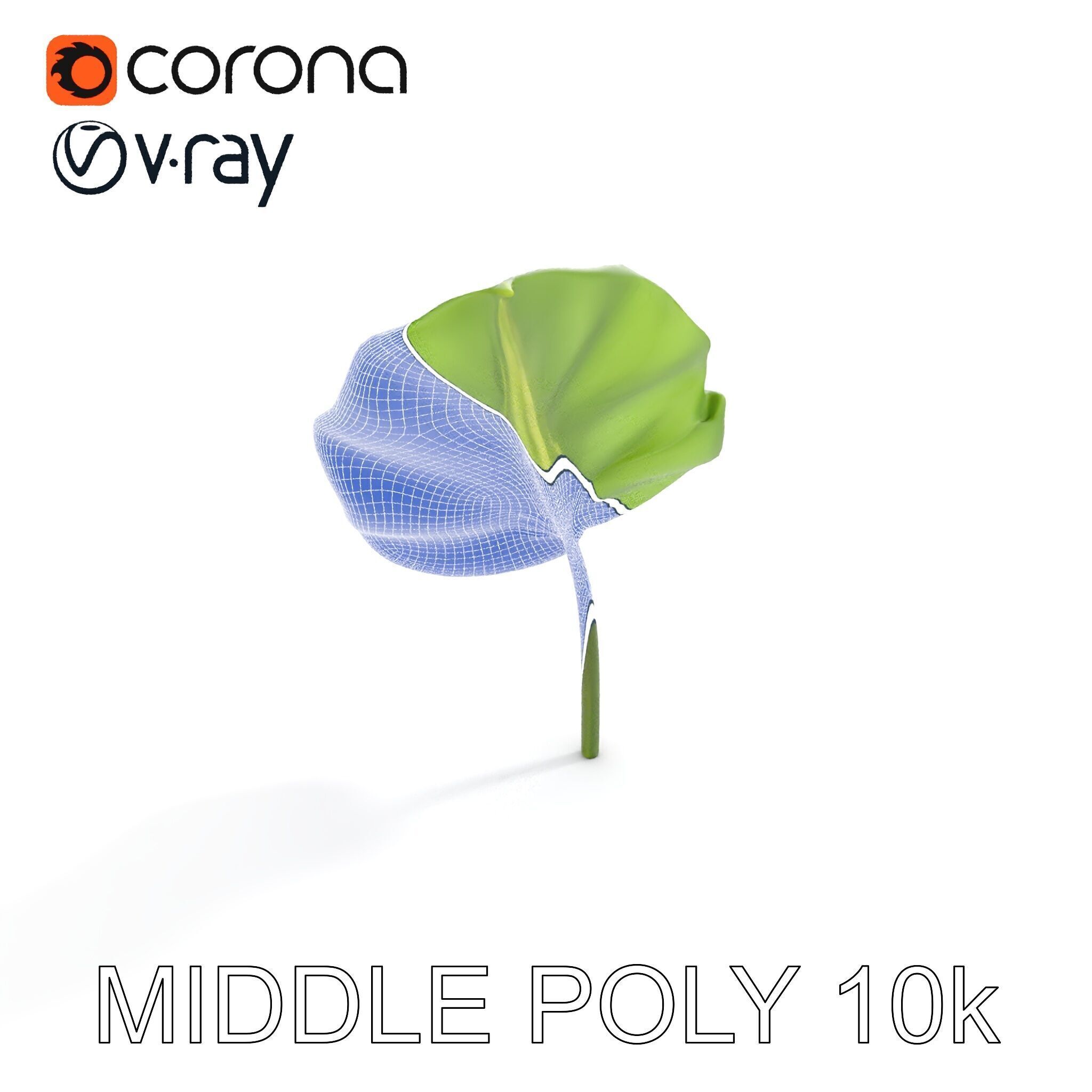 Botanical Leaf Model Pack with Realistic Textures Low-poly 3D model_18
