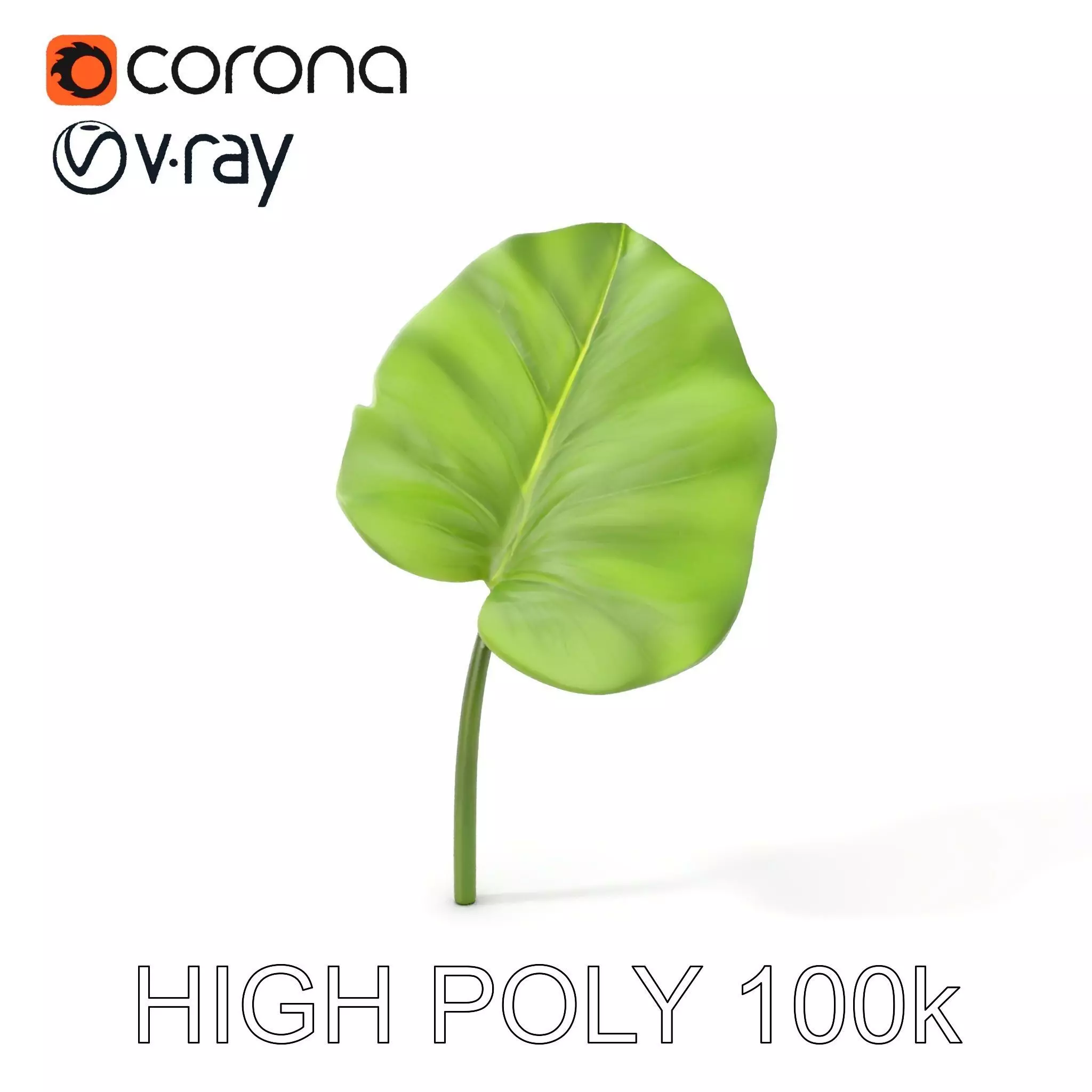 Botanical Leaf Model Pack with Realistic Textures Low-poly 3D model_0