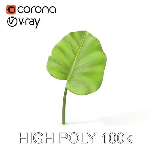 Botanical Leaf Model Pack with Realistic Textures Low-poly 3D model
