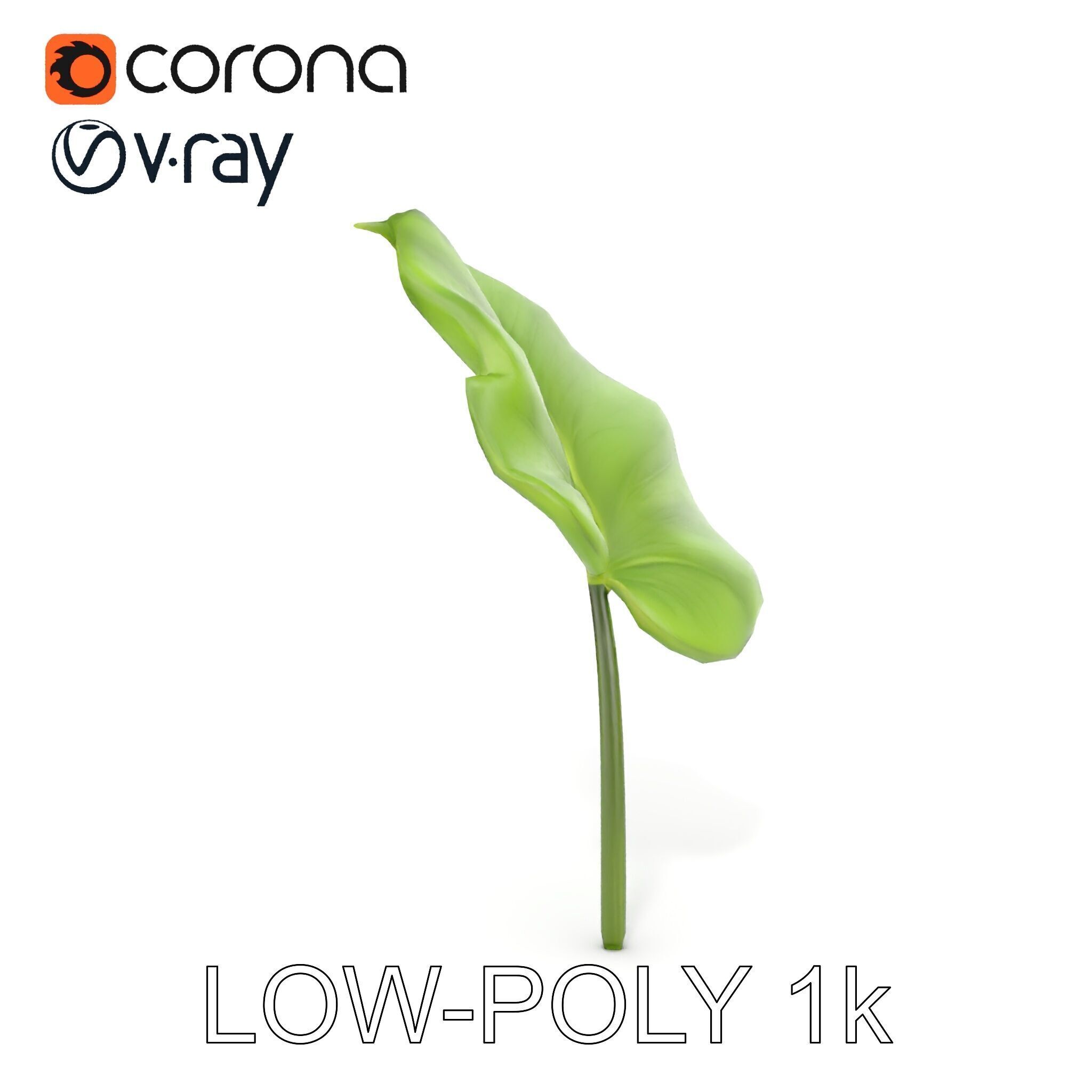 Botanical Leaf Model Pack with Realistic Textures Low-poly 3D model_8