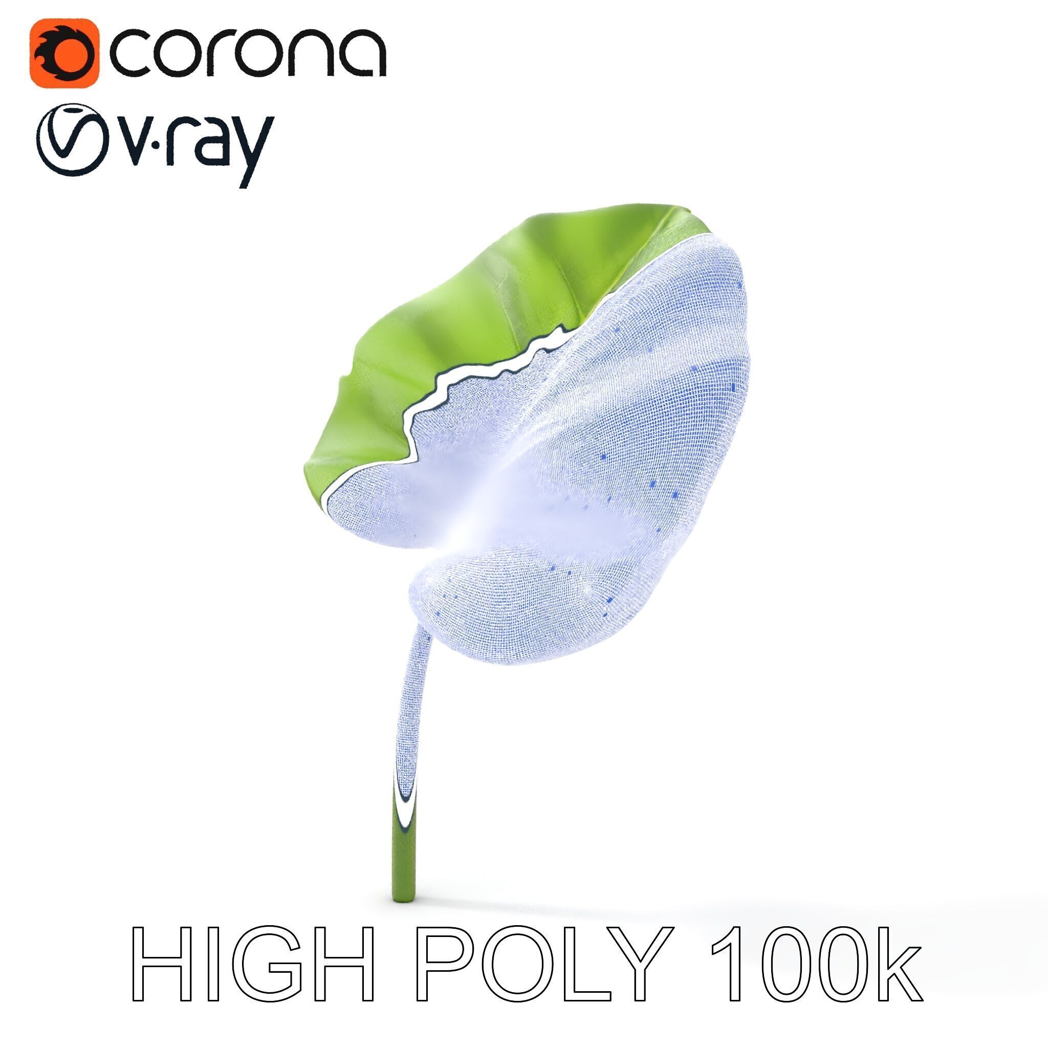 Botanical Leaf Model Pack with Realistic Textures Low-poly 3D model_14