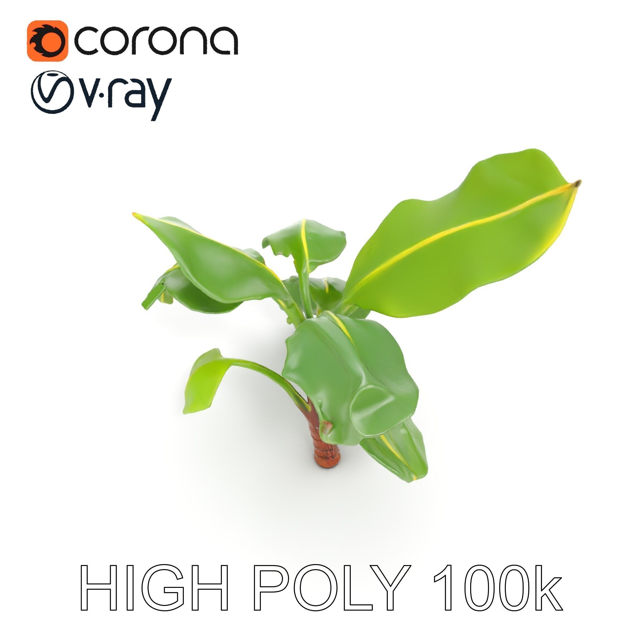 Banana Plant D Model Pack with PBR Textures Low-poly 3D model_15