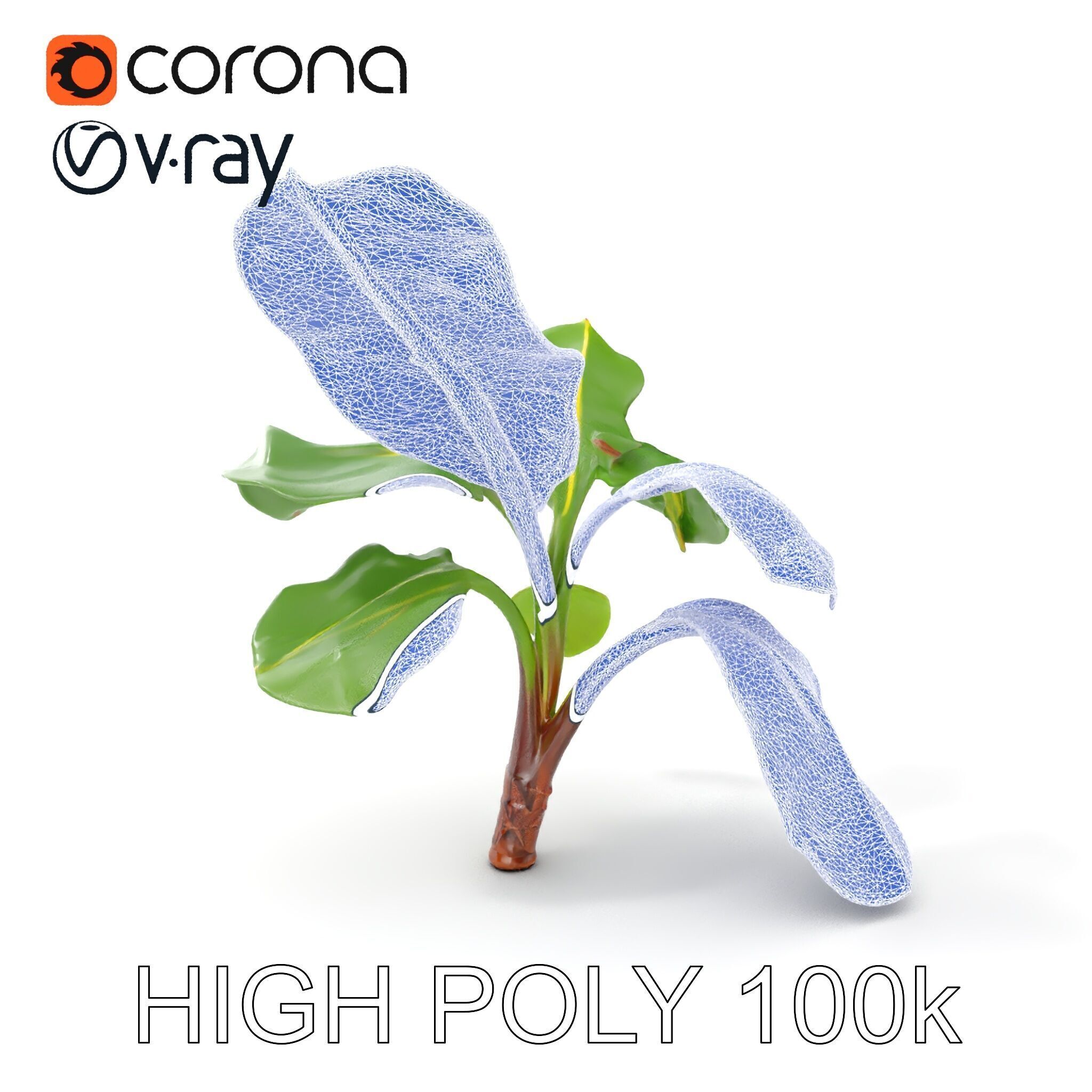 Banana Plant D Model Pack with PBR Textures Low-poly 3D model_5