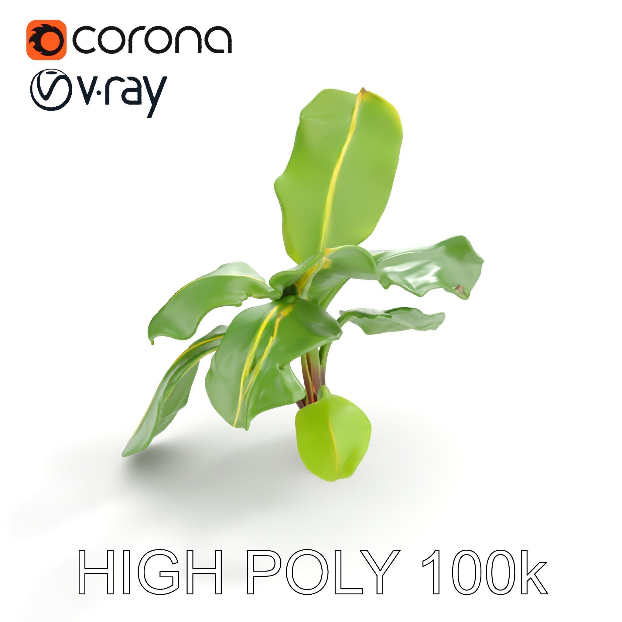 Banana Plant D Model Pack with PBR Textures Low-poly 3D model_25