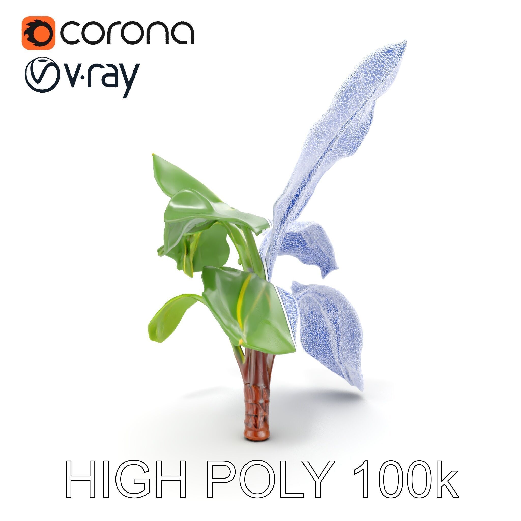 Banana Plant D Model Pack with PBR Textures Low-poly 3D model_26