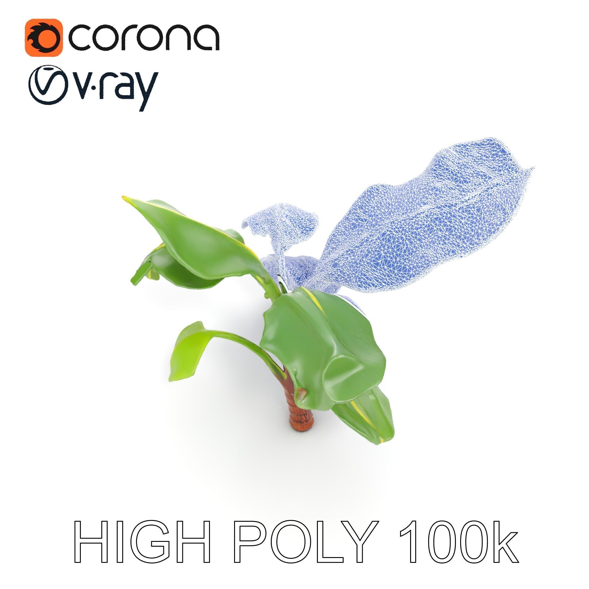 Banana Plant D Model Pack with PBR Textures Low-poly 3D model_35