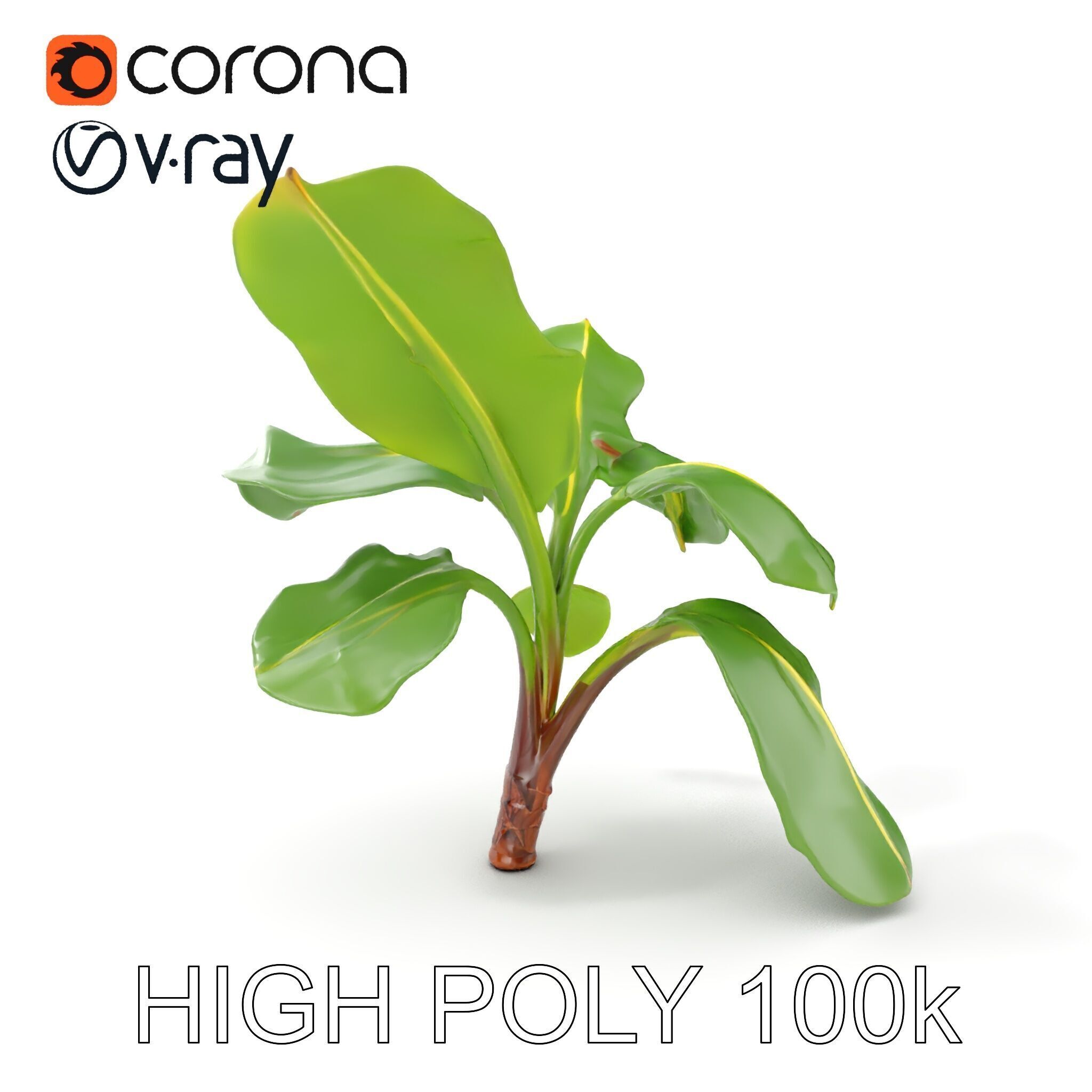 Banana Plant D Model Pack with PBR Textures Low-poly 3D model_7