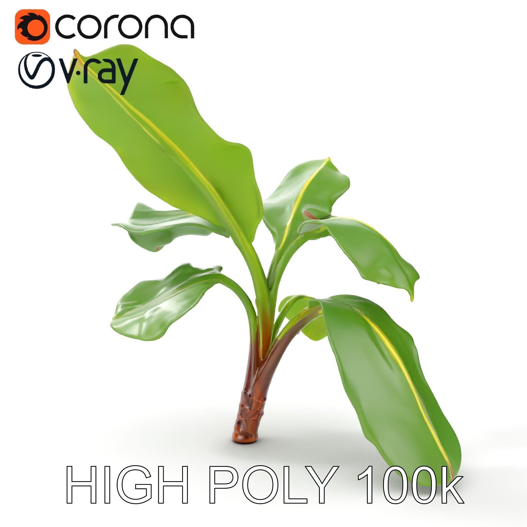 Banana Plant D Model Pack with PBR Textures Low-poly 3D model_27