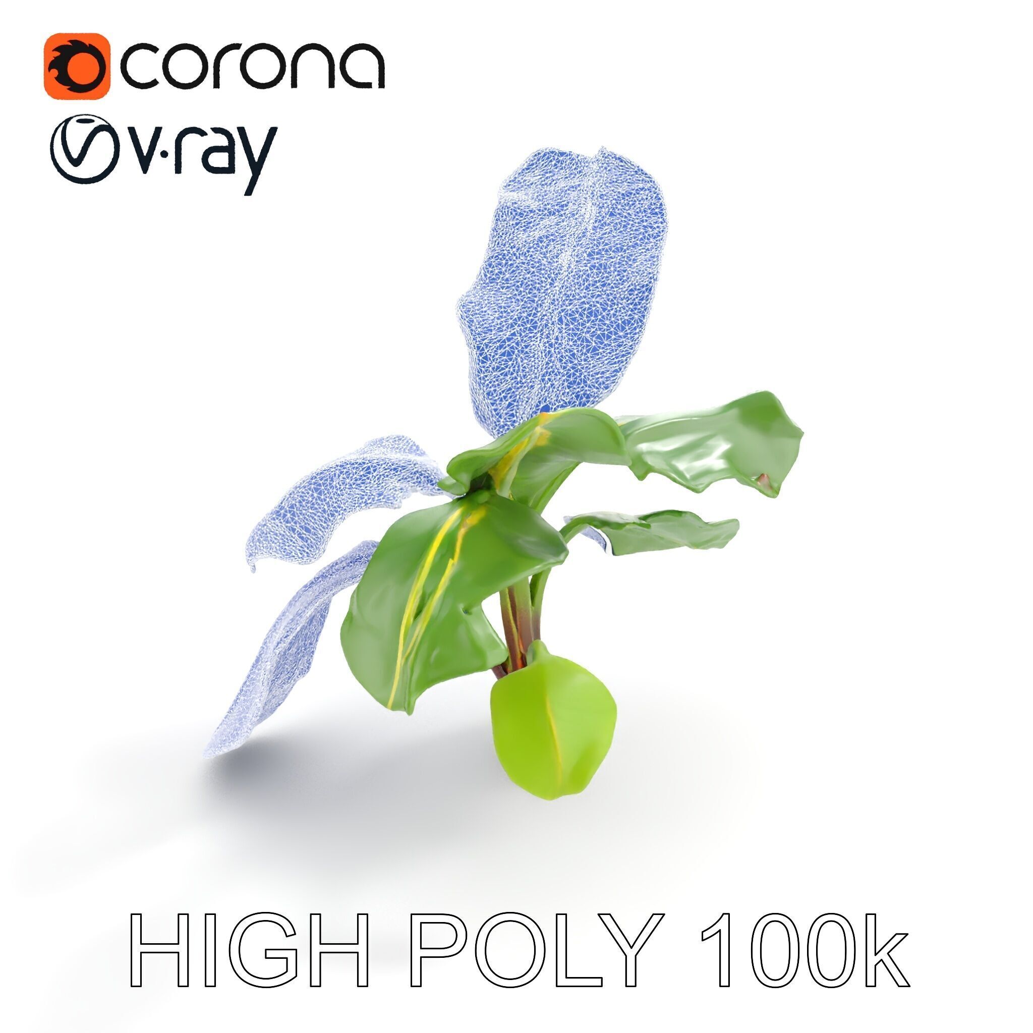 Banana Plant D Model Pack with PBR Textures Low-poly 3D model_19