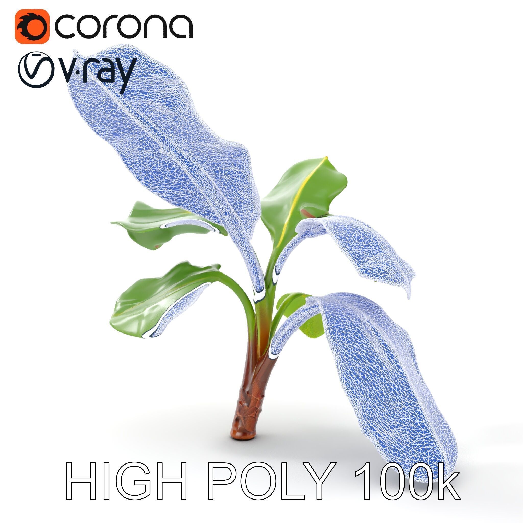 Banana Plant D Model Pack with PBR Textures Low-poly 3D model_9