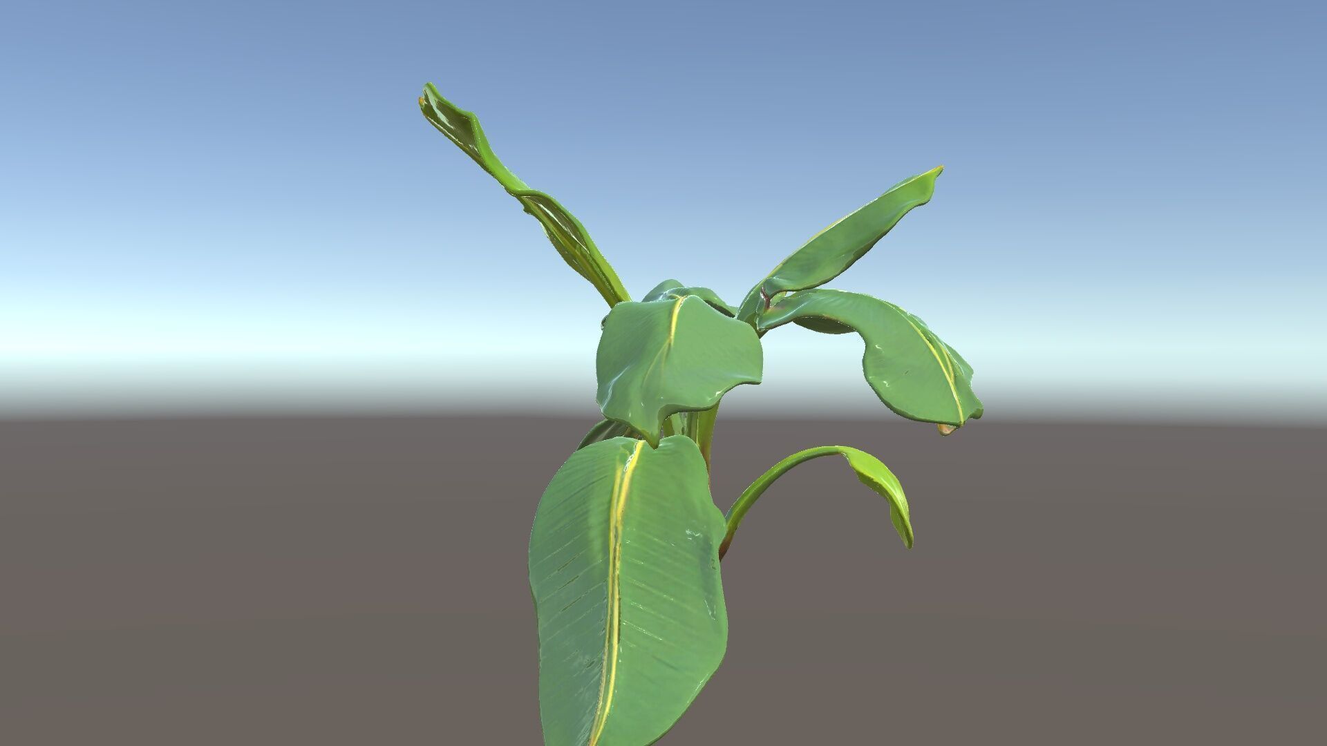Banana Plant D Model Pack with PBR Textures Low-poly 3D model_16