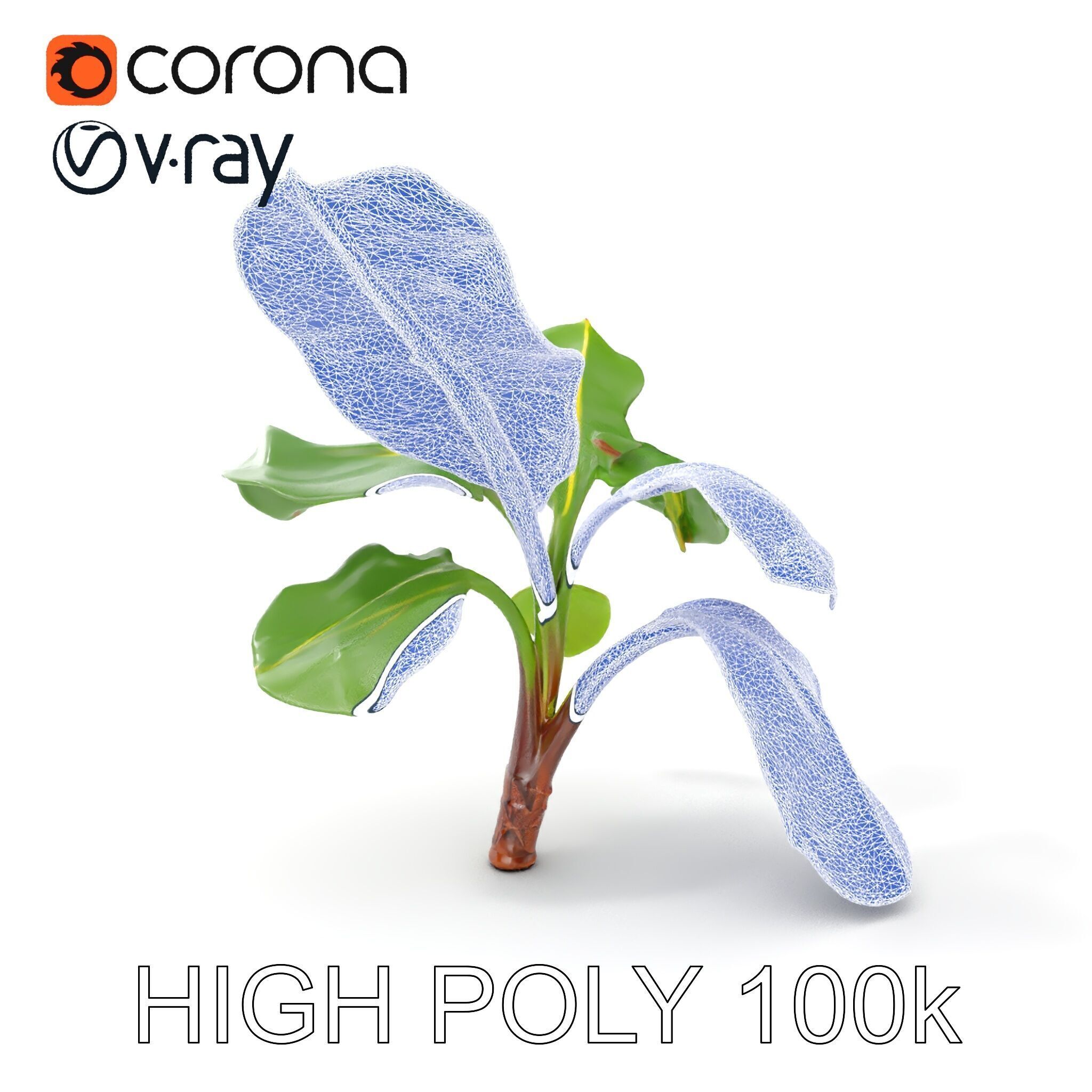 Banana Plant D Model Pack with PBR Textures Low-poly 3D model_14