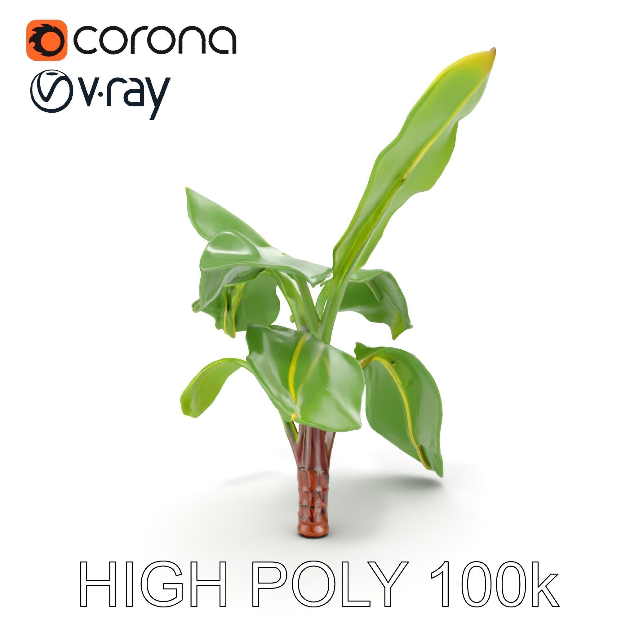 Banana Plant D Model Pack with PBR Textures Low-poly 3D model_22