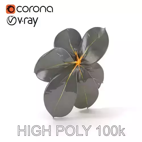 Tropical Leaf Model Pack with Detailed Textures