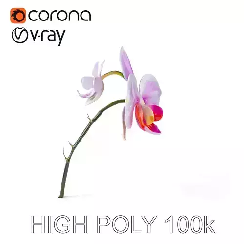 Orchid Blossom Model Pack Low-poly 3D model