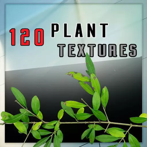 120 Plant Textures HD png Texture