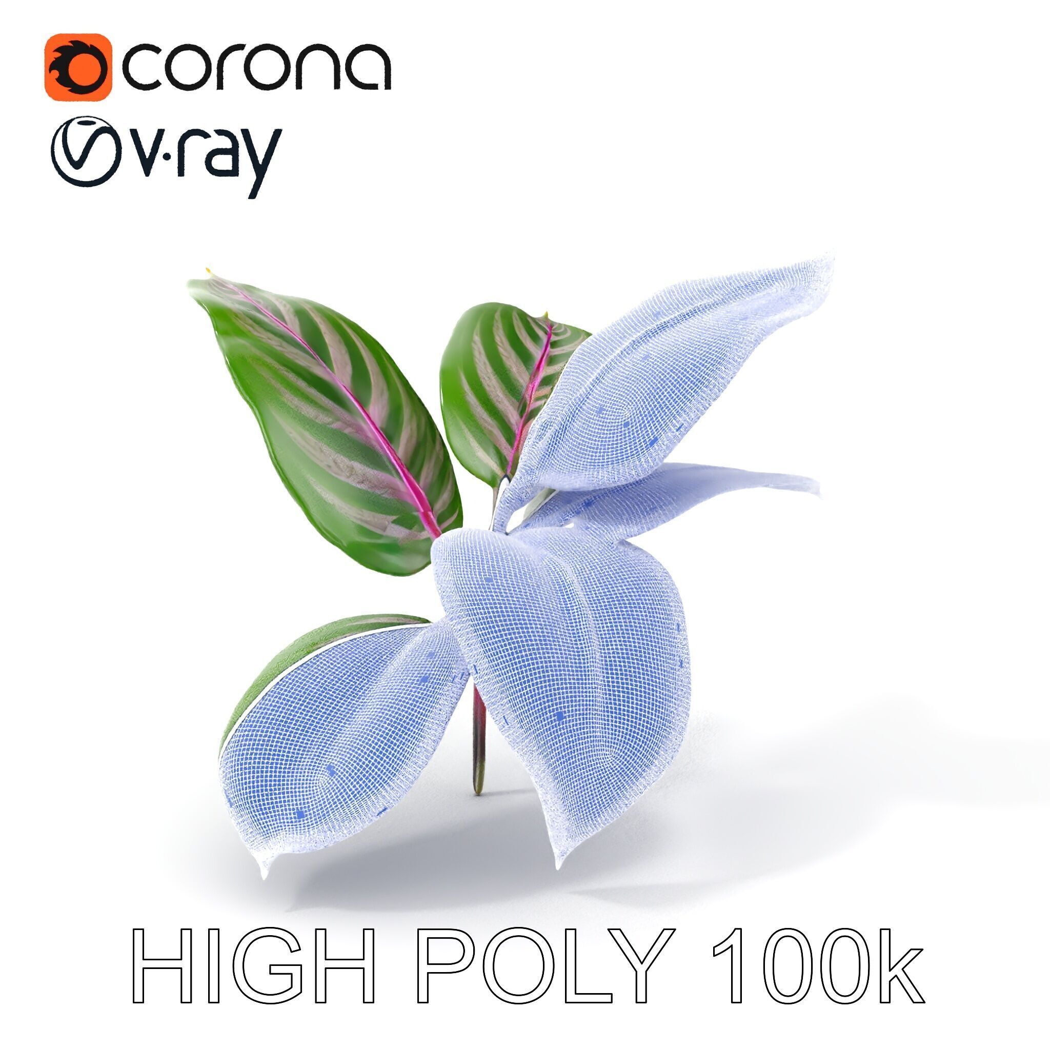 Tropical Plant Leaves Model Pack Low-poly 3D model_4
