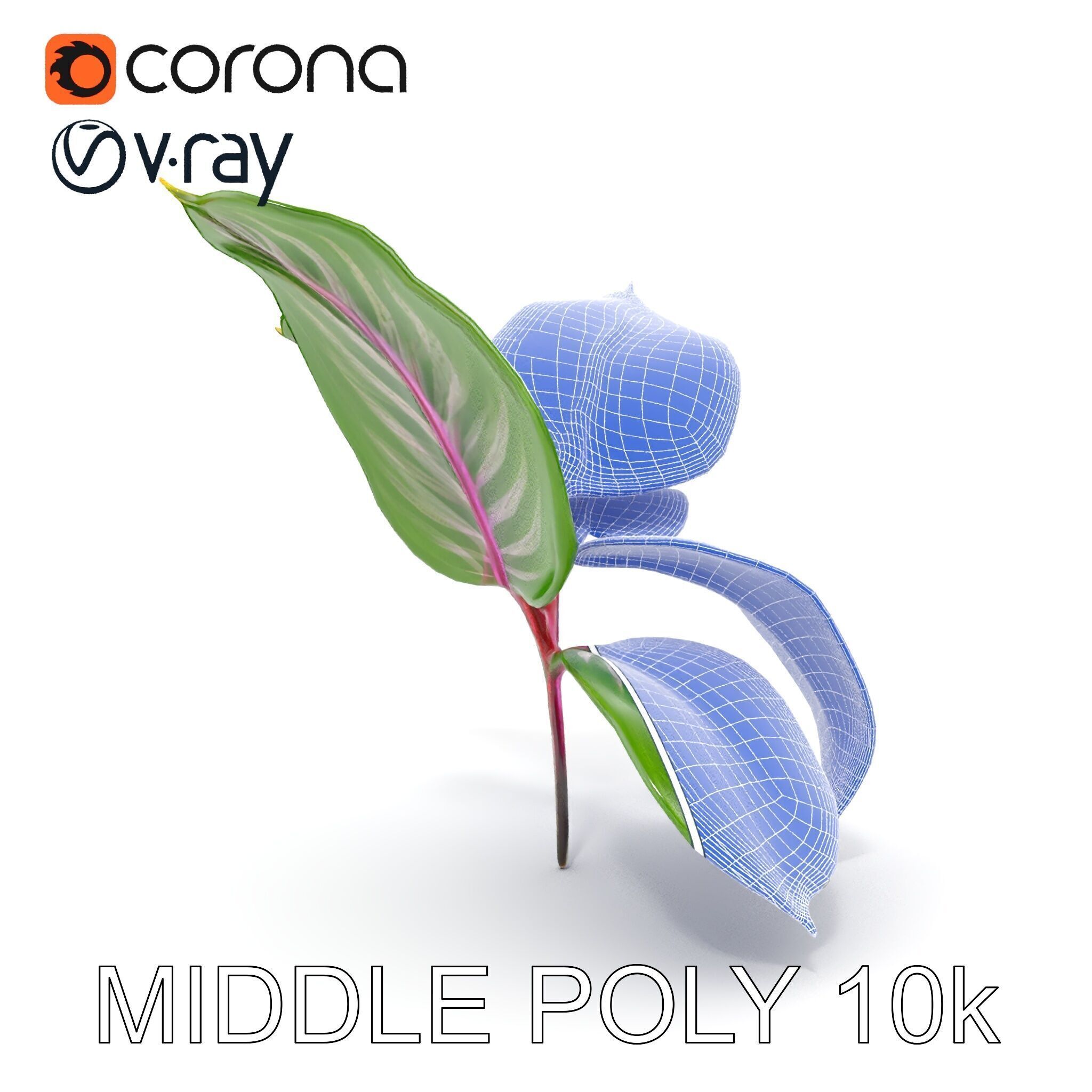 Tropical Plant Leaves Model Pack Low-poly 3D model_6