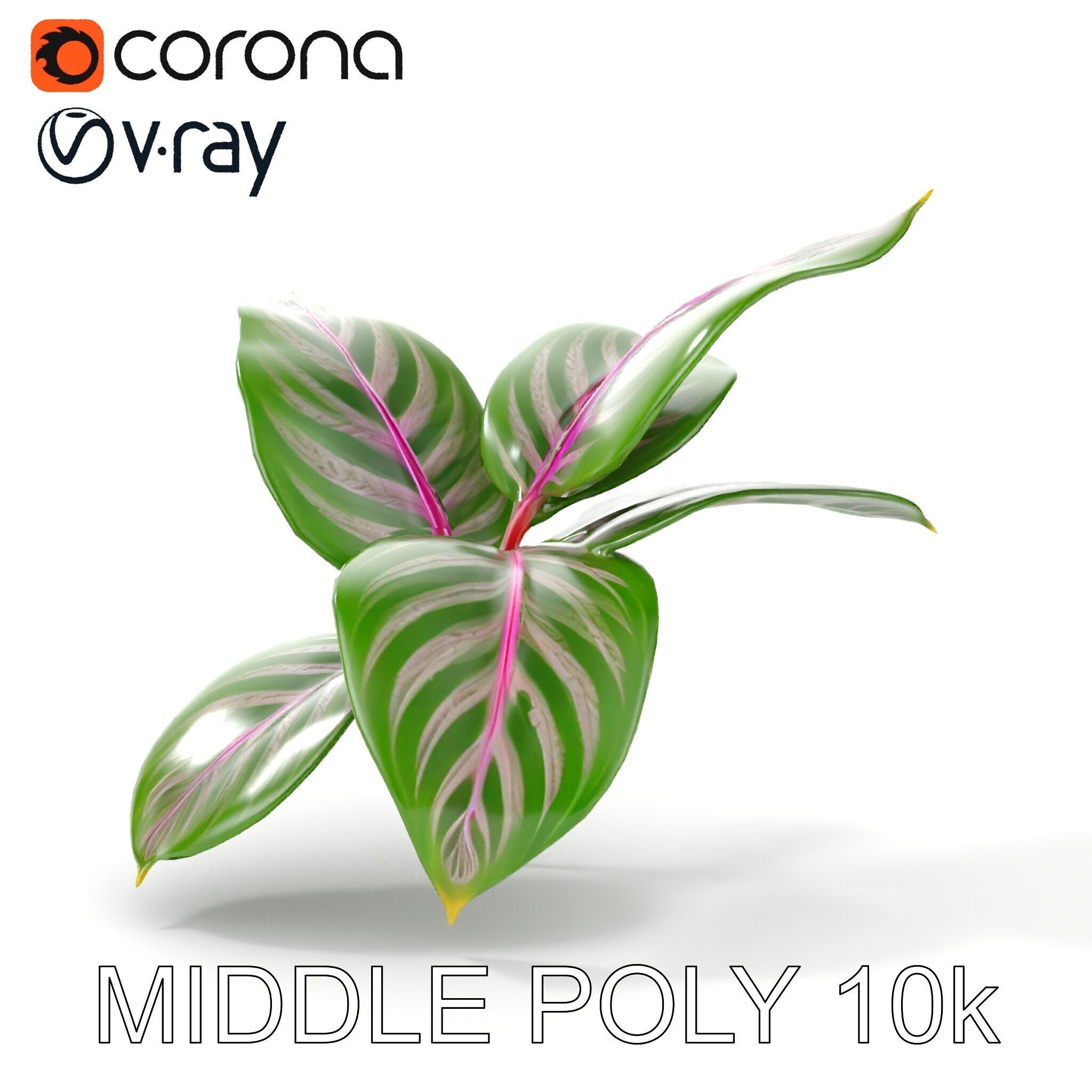 Tropical Plant Leaves Model Pack Low-poly 3D model_15